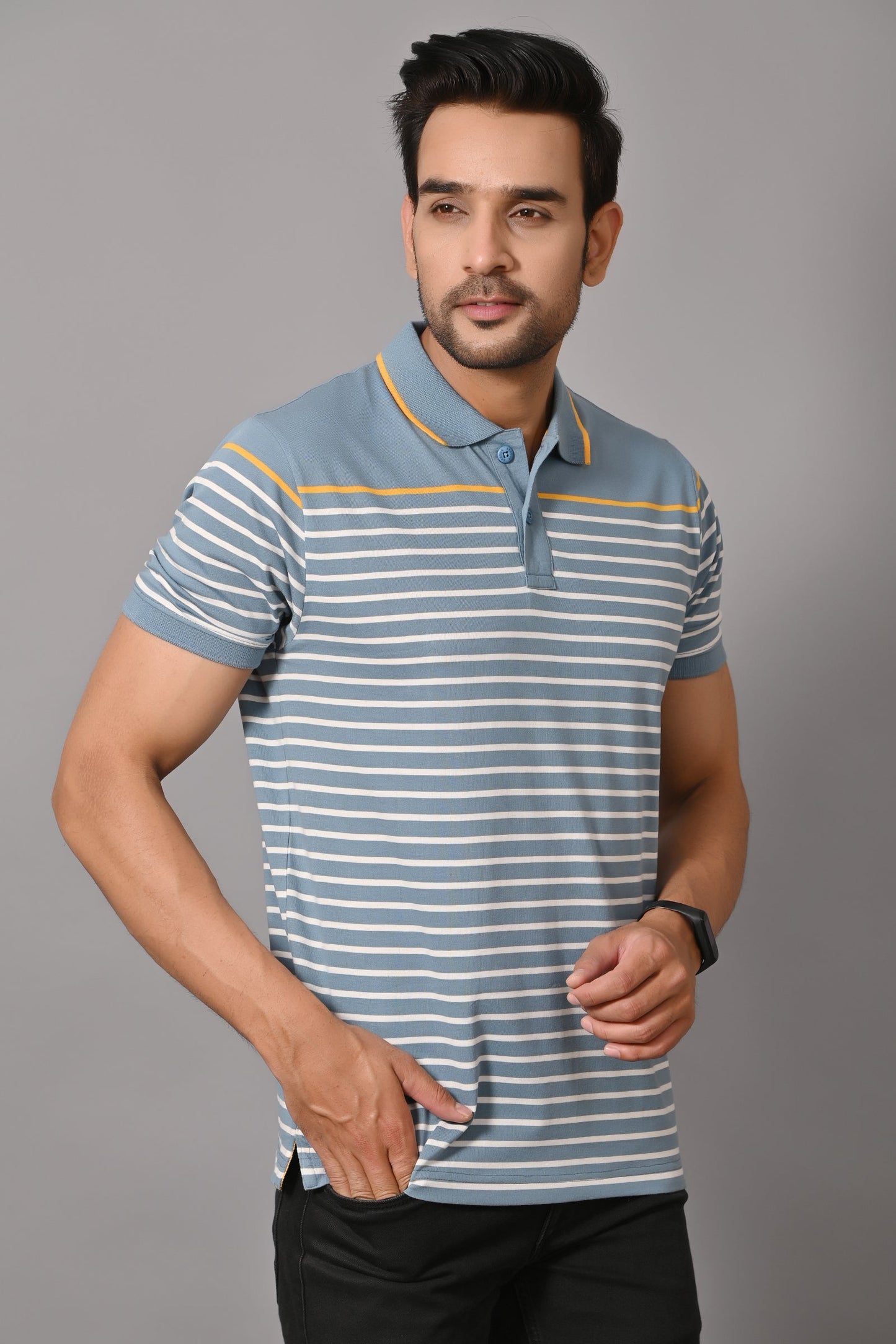 Arbour Men Polo Neck Stripes Casual Slim Fit Half Sleeves T-Shirt