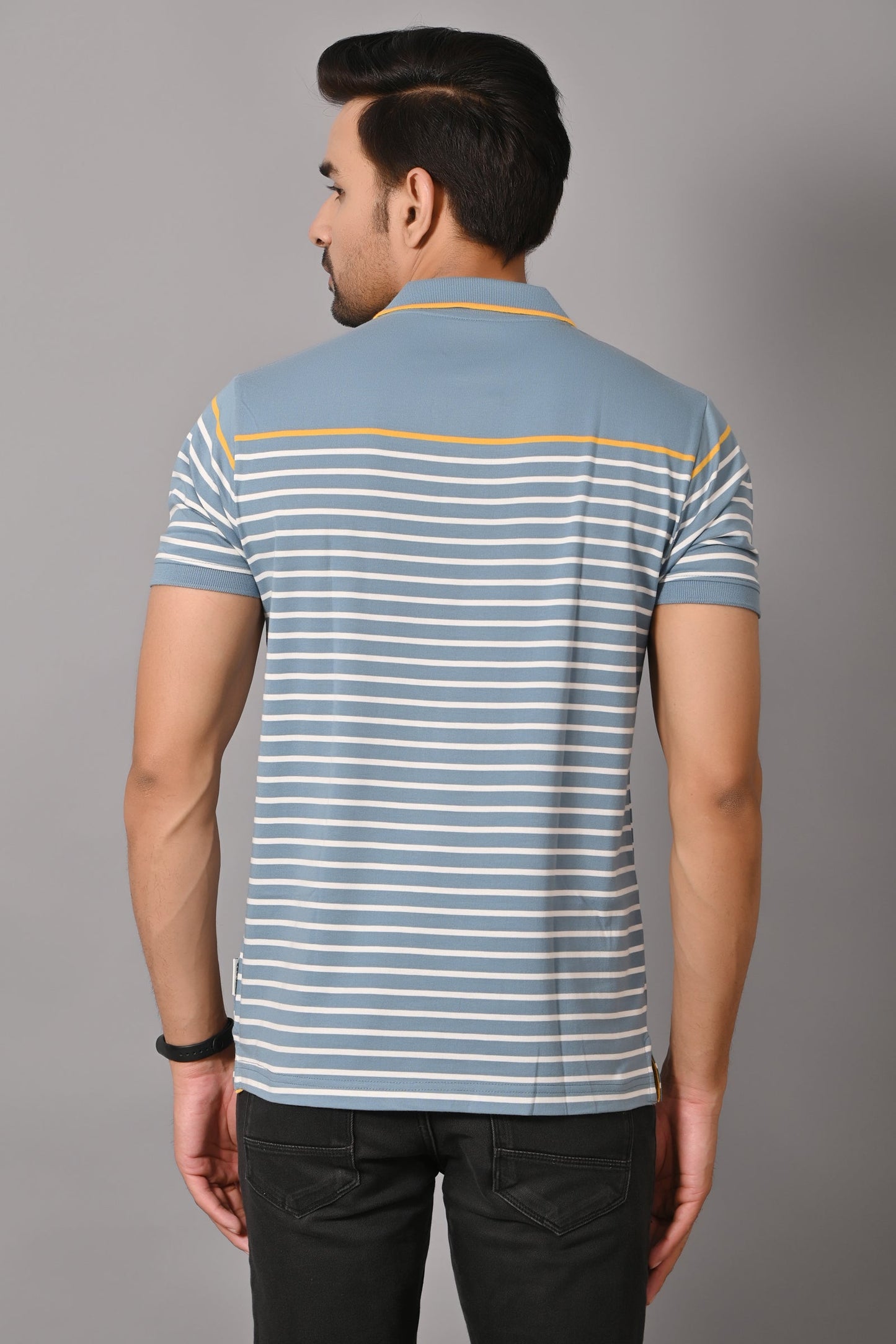 Arbour Men Polo Neck Stripes Casual Slim Fit Half Sleeves T-Shirt