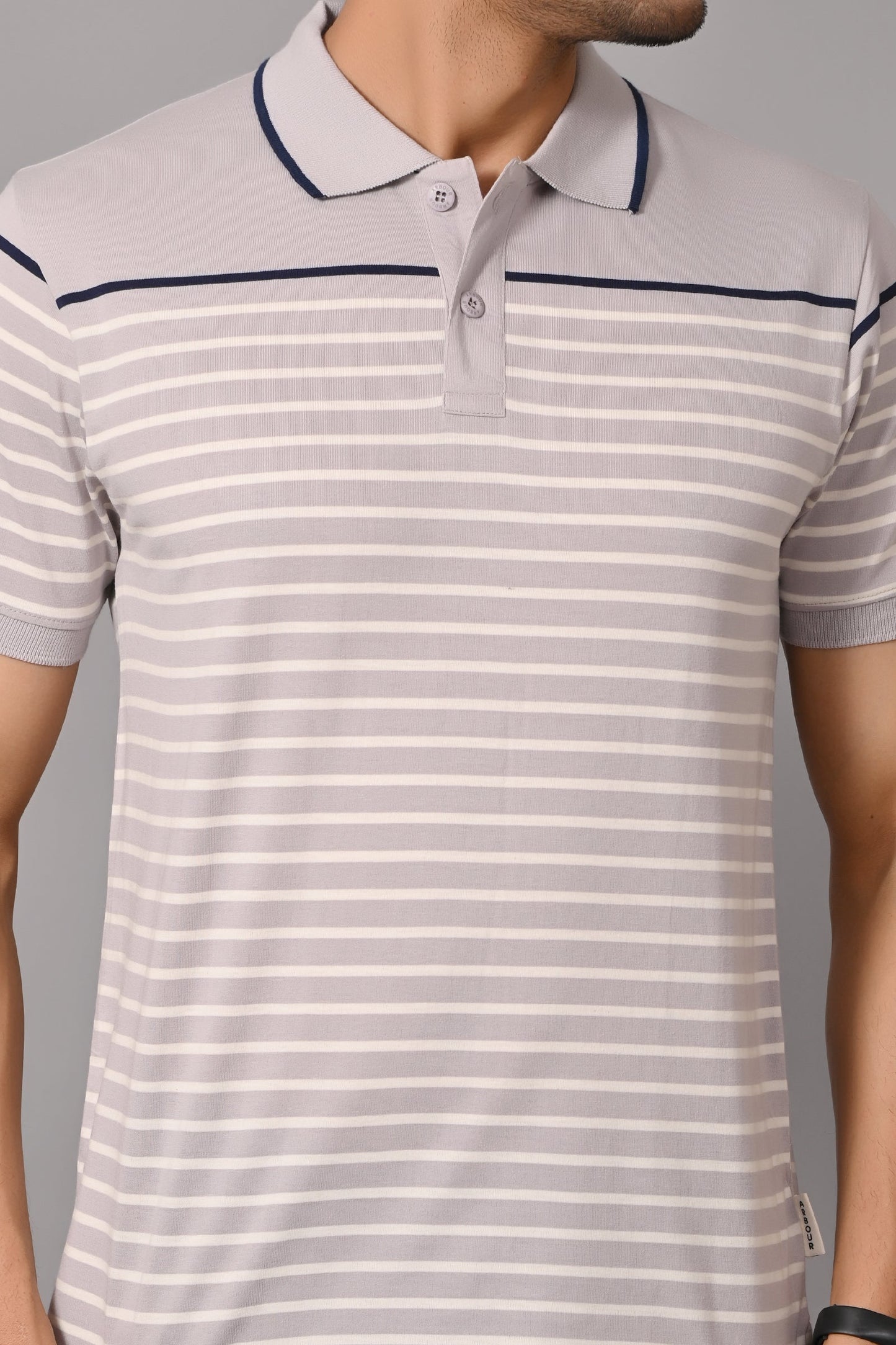 Arbour Men Polo Neck Stripes Casual Slim Fit Half Sleeves T-Shirt