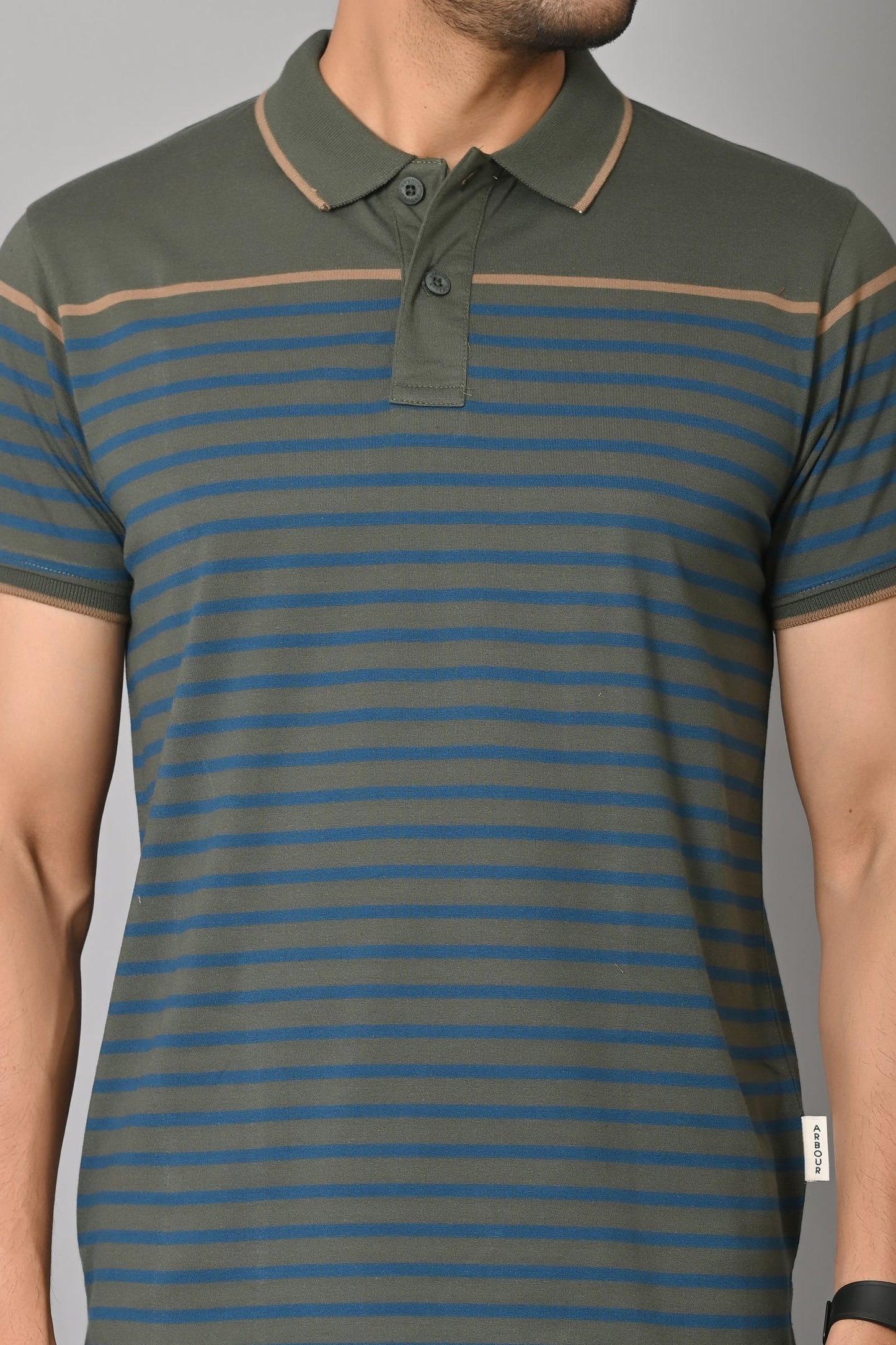 Arbour Men Polo Neck Stripes Casual Slim Fit Half Sleeves T-Shirt