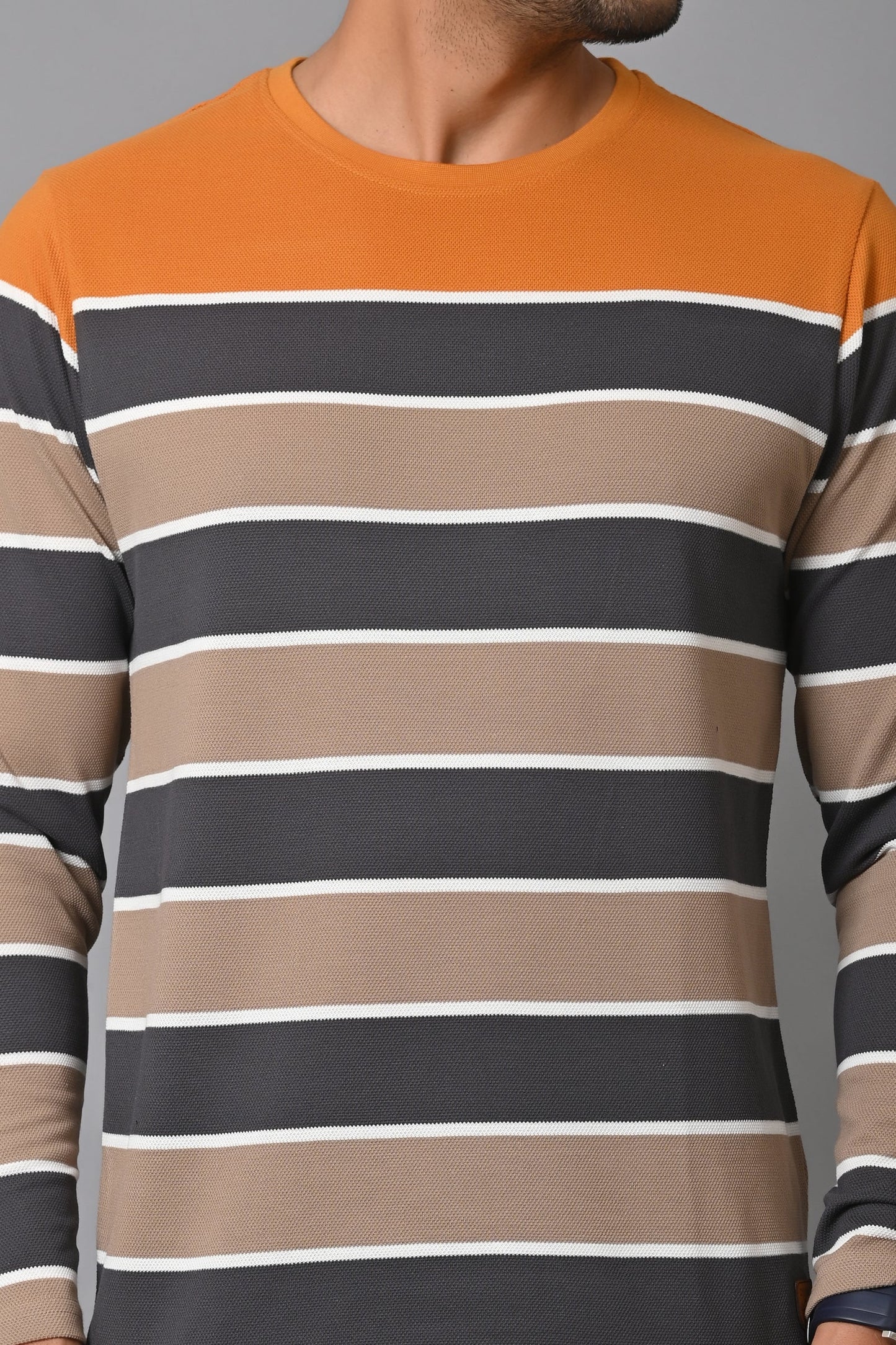 Arbour Men Round Neck Stripes Full Sleeves T-Shirt