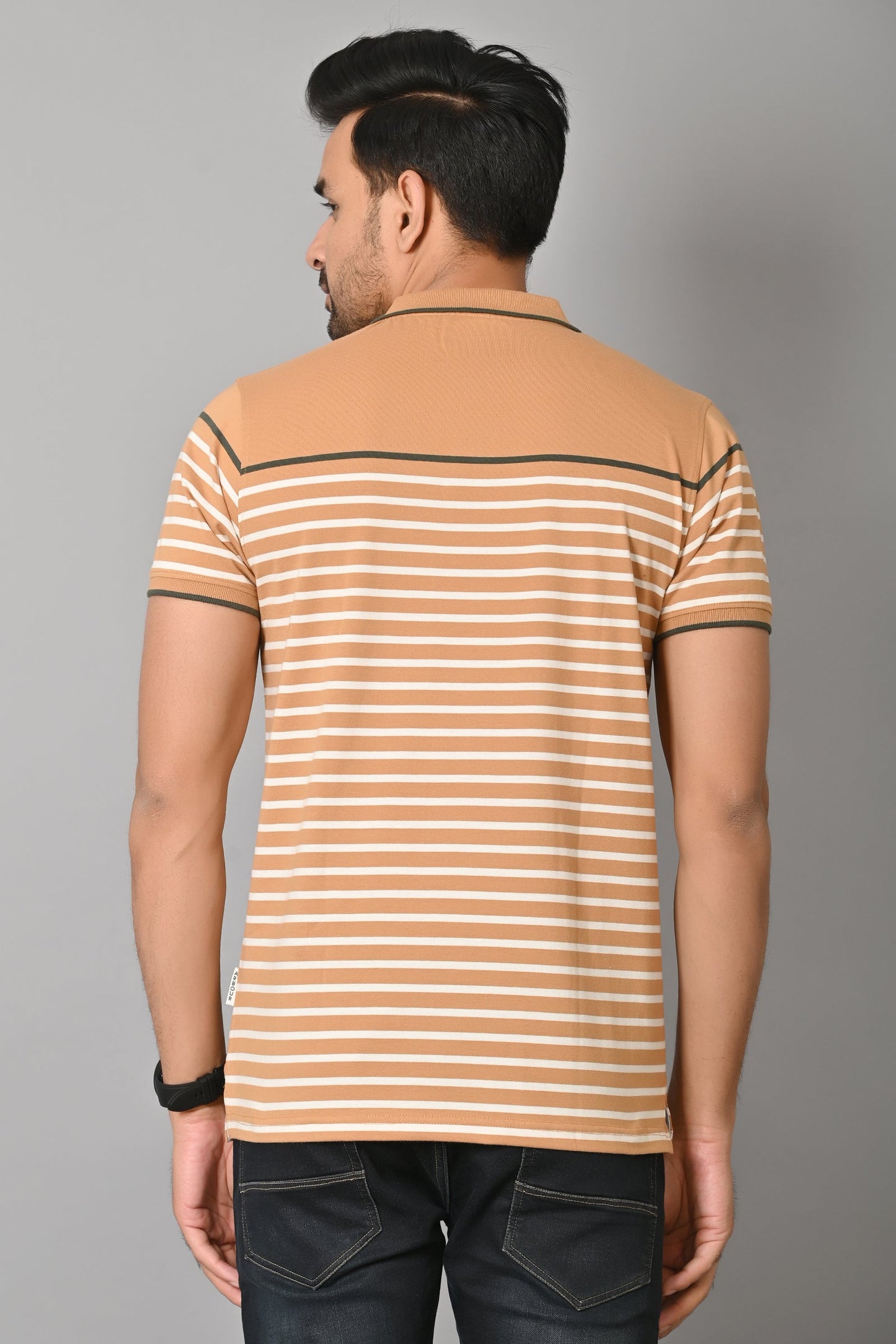 Arbour Men Polo Neck Stripes Casual Slim Fit Half Sleeves T-Shirt