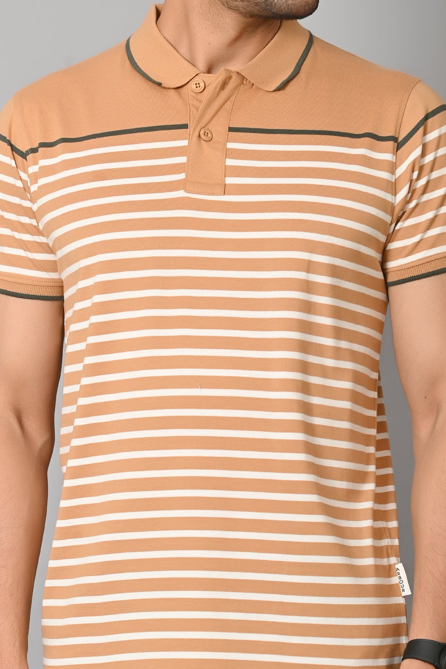 Arbour Men Polo Neck Stripes Casual Slim Fit Half Sleeves T-Shirt