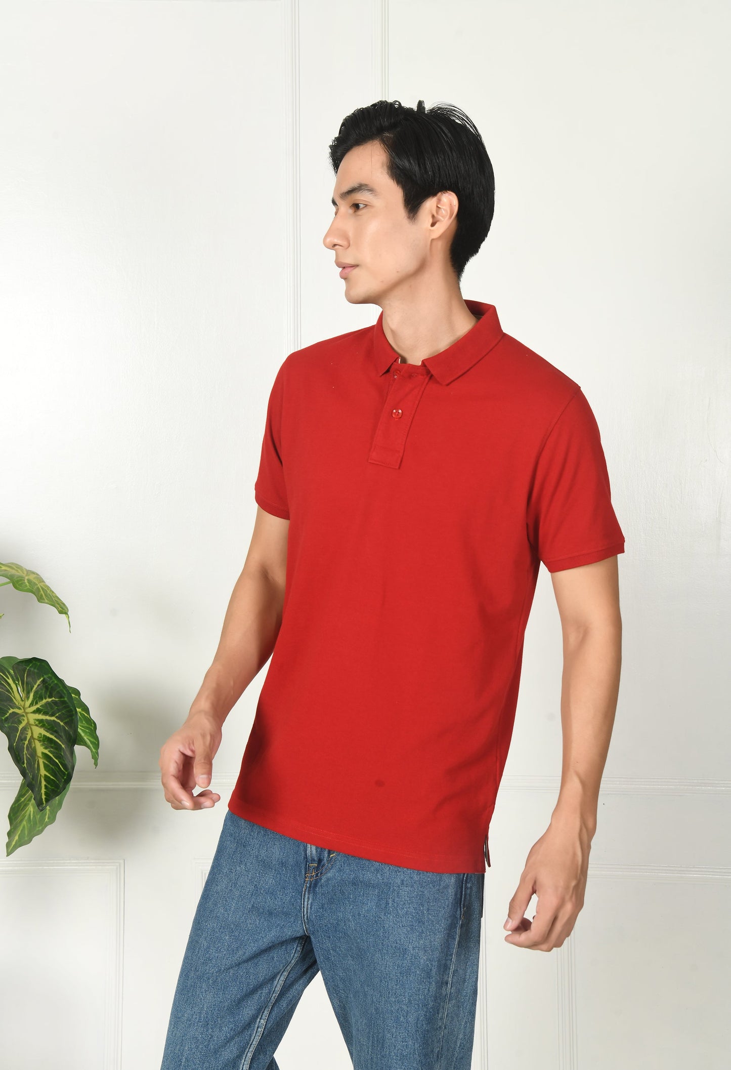 Arbour Men Polo Neck Plain Solid half Sleeves T-Shirt