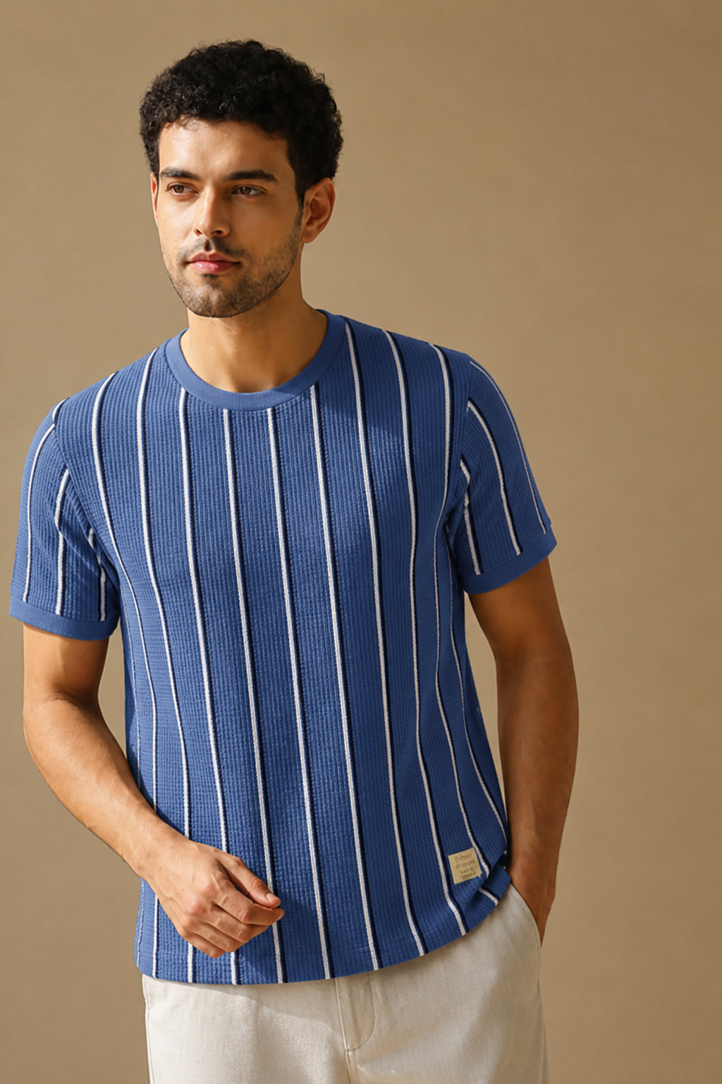 Men Round Neck Stripes Half Sleeves T-Shirt