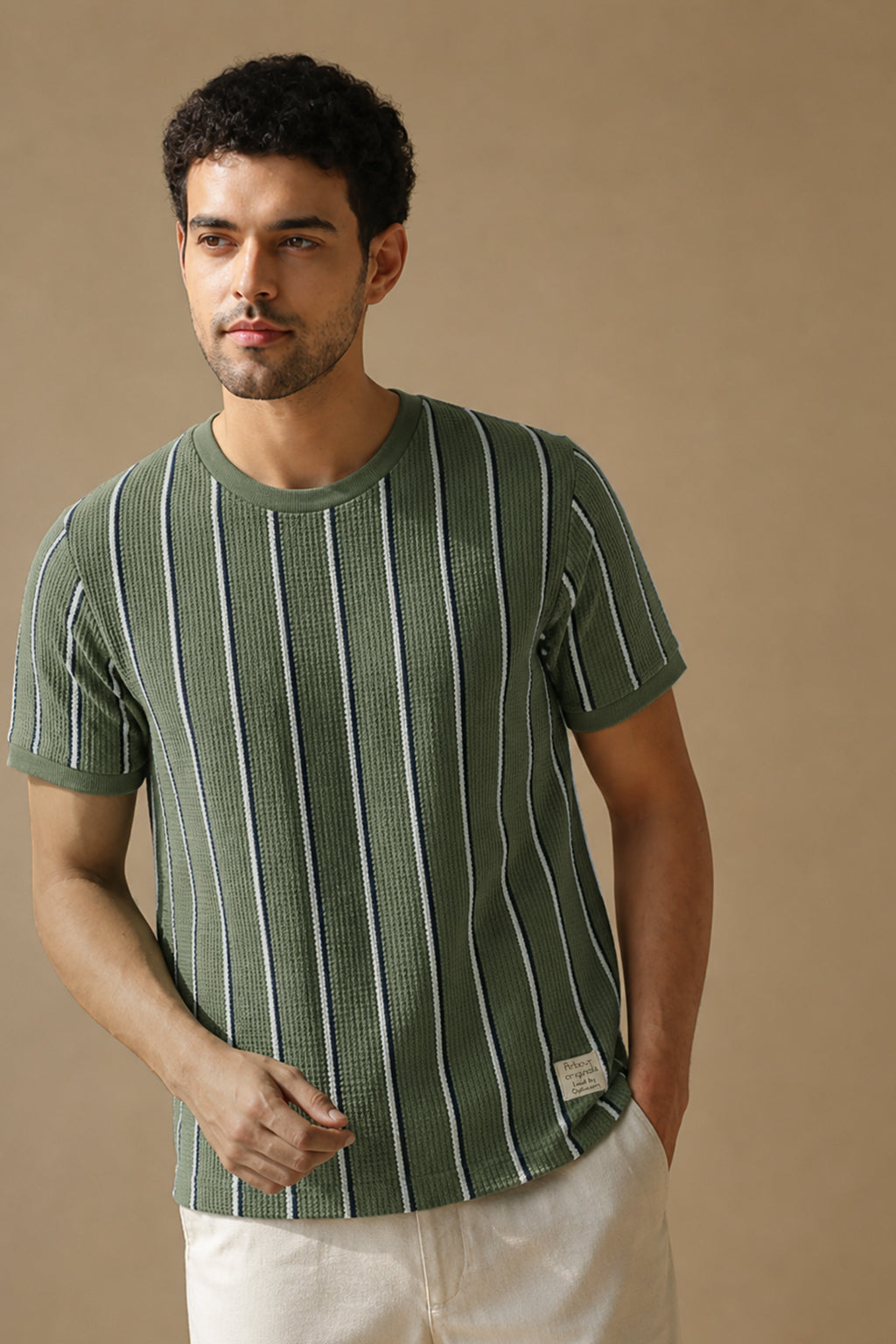 Men Round Neck Stripes Half Sleeves T-Shirt