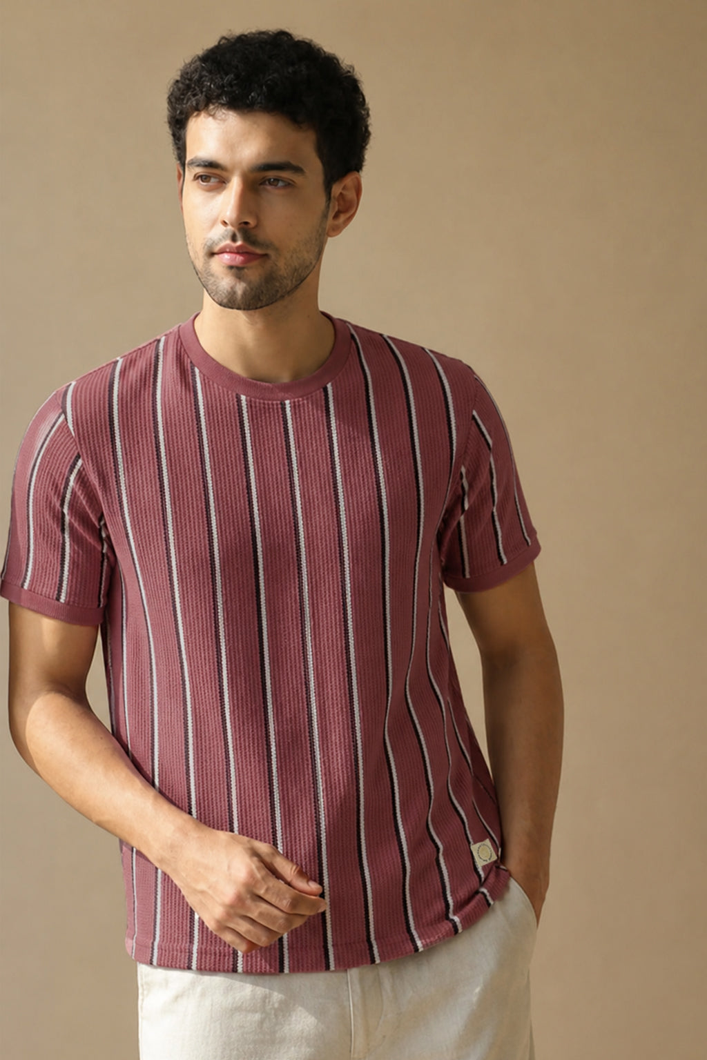 Men Round Neck Stripes Half Sleeves T-Shirt