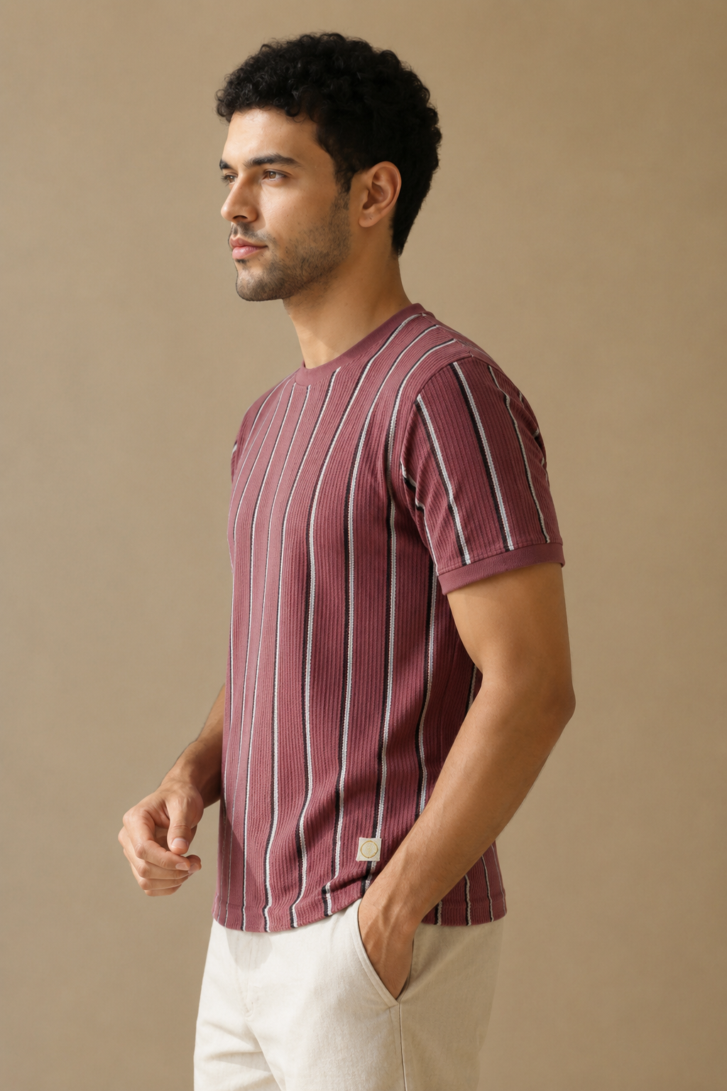 Men Round Neck Stripes Half Sleeves T-Shirt