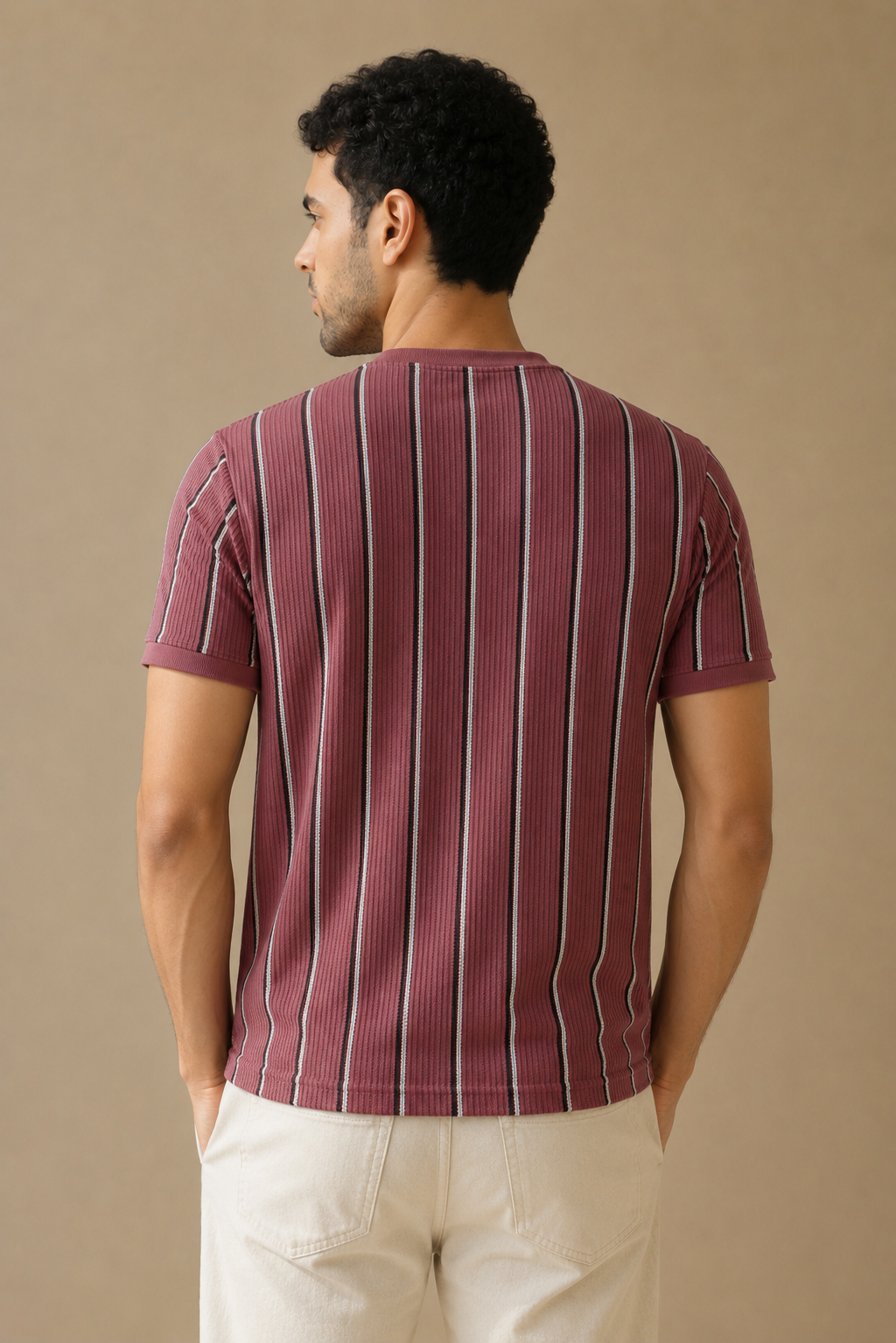Men Round Neck Stripes Half Sleeves T-Shirt
