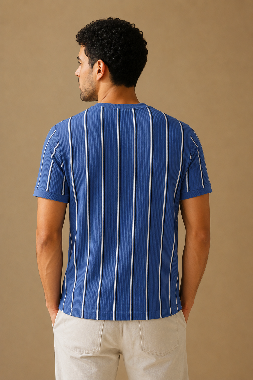 Men Round Neck Stripes Half Sleeves T-Shirt