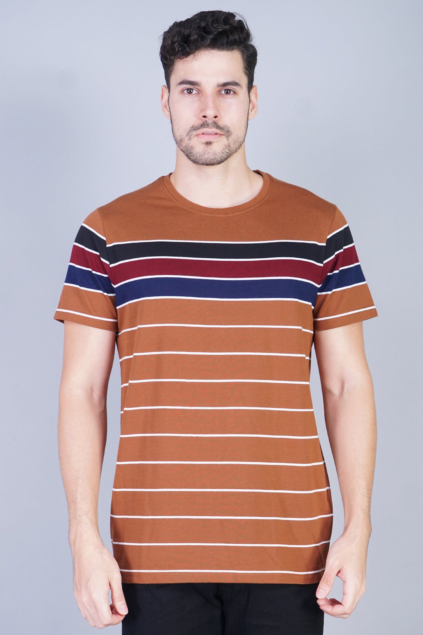 Arbour Men Striped Round Neck Cotton Blend Multicolor T-Shirt