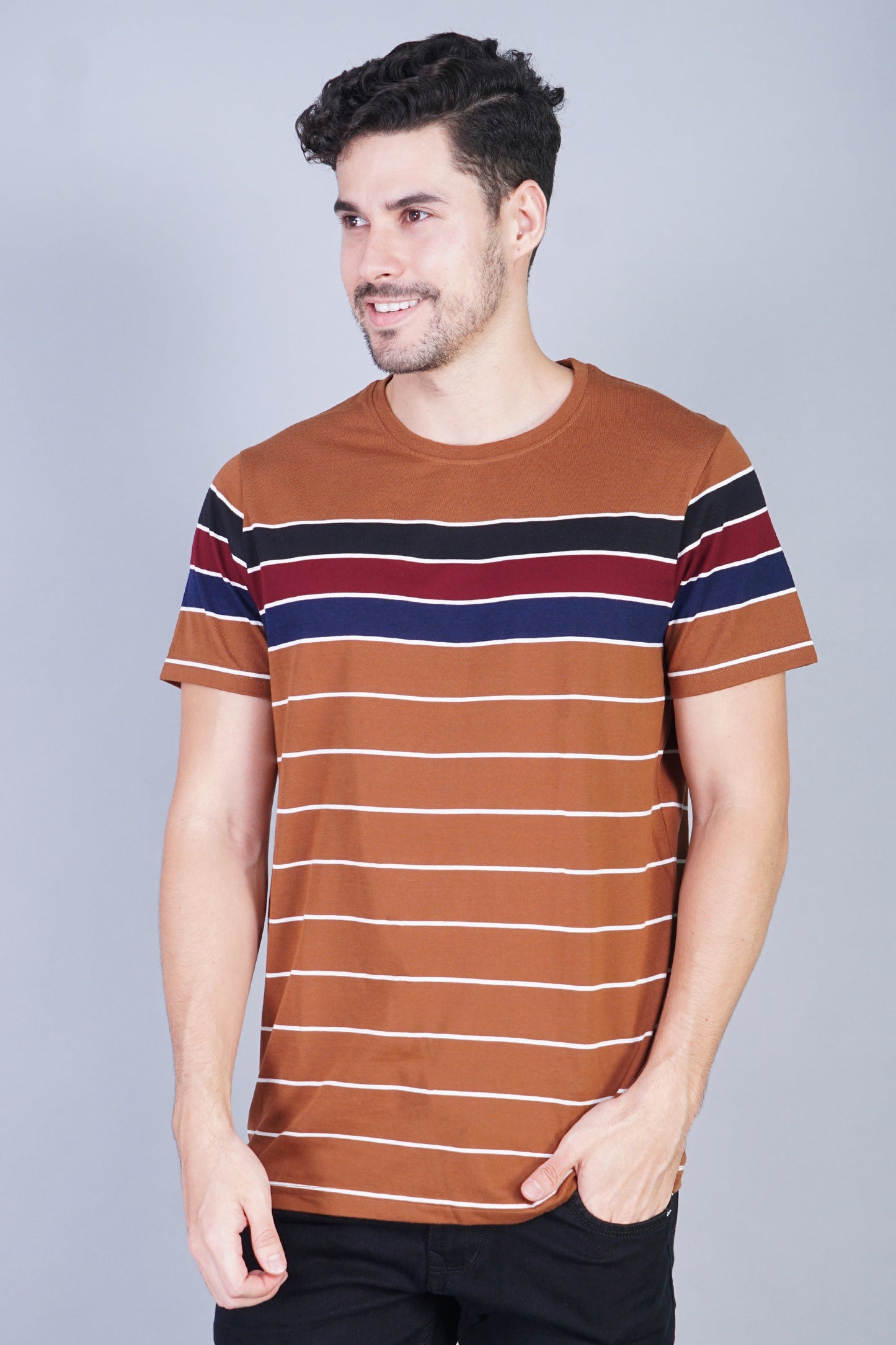 Arbour Men Striped Round Neck Cotton Blend Multicolor T-Shirt