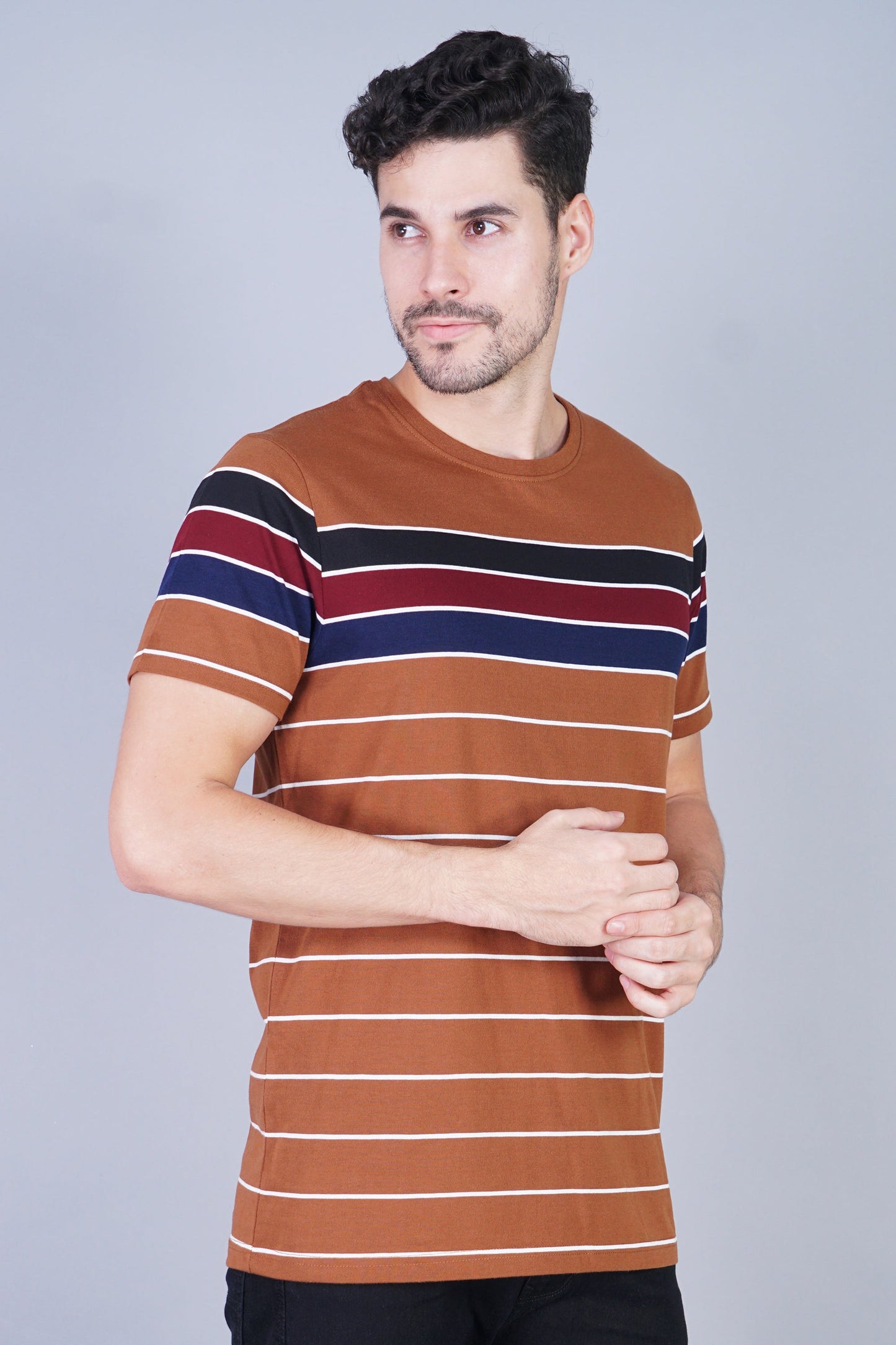 Arbour Men Striped Round Neck Cotton Blend Multicolor T-Shirt