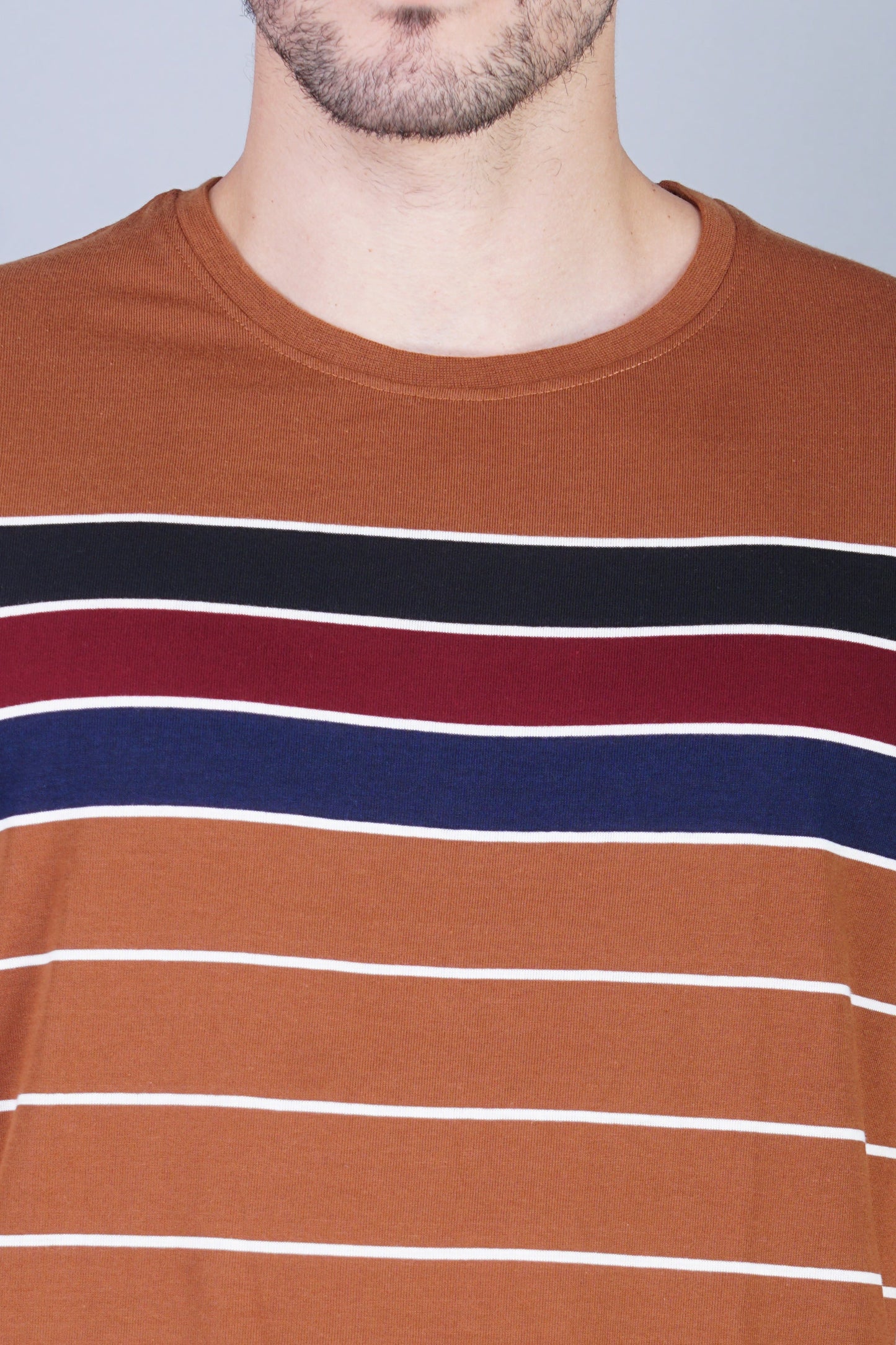 Arbour Men Striped Round Neck Cotton Blend Multicolor T-Shirt