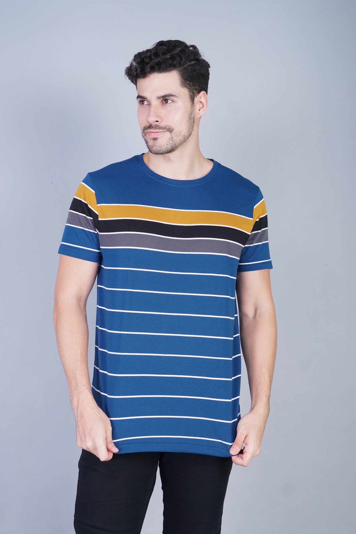 Arbour Men Striped Round Neck Cotton Blend Multicolor T-Shirt