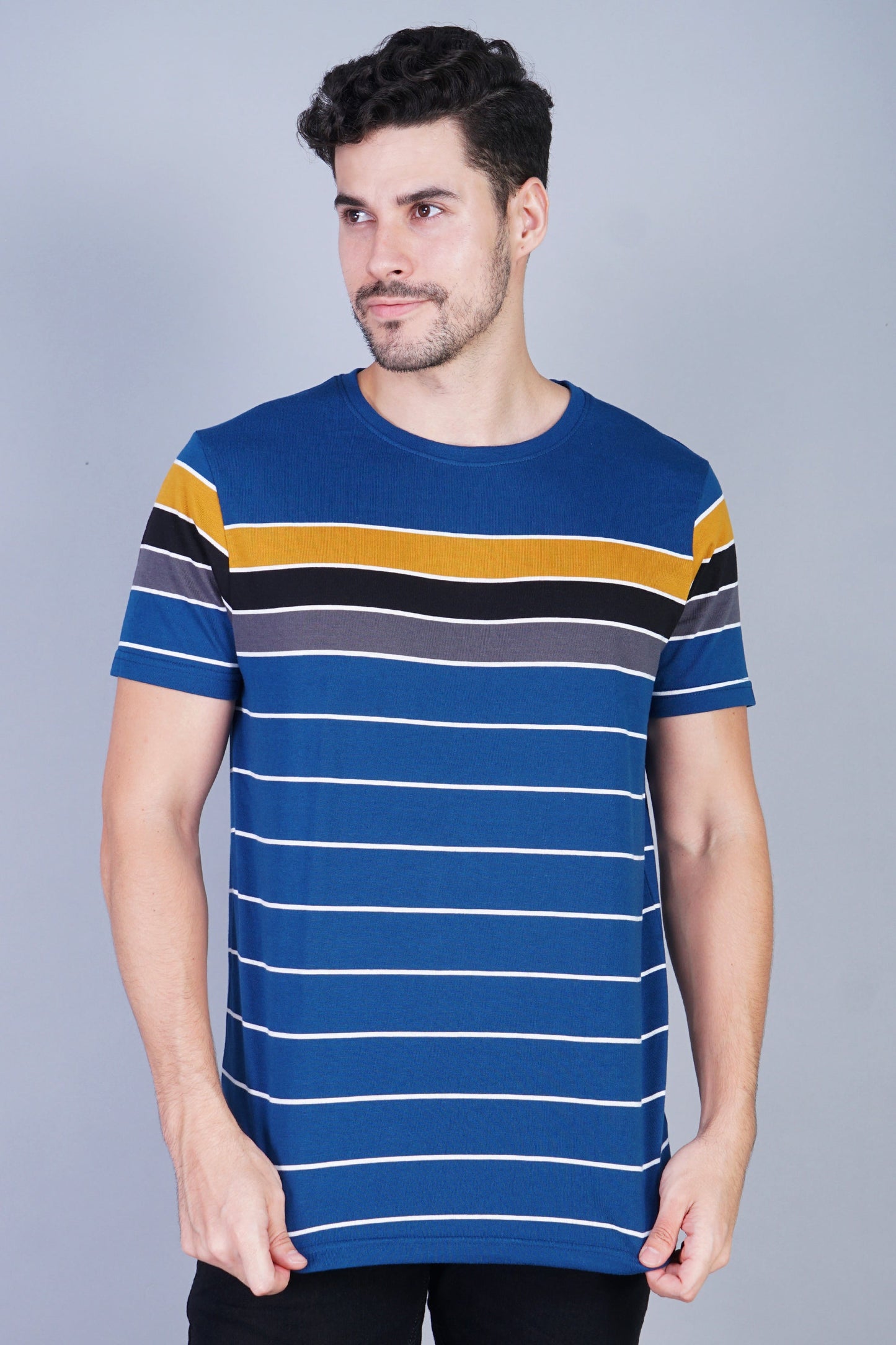 Arbour Men Striped Round Neck Cotton Blend Multicolor T-Shirt