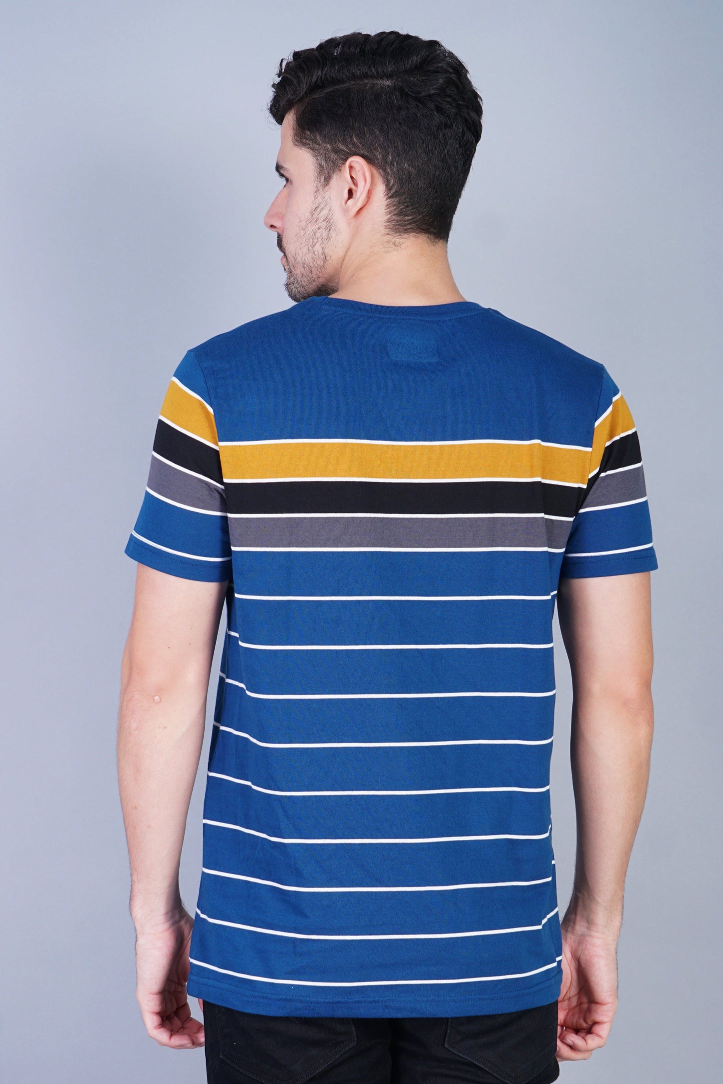 Arbour Men Striped Round Neck Cotton Blend Multicolor T-Shirt