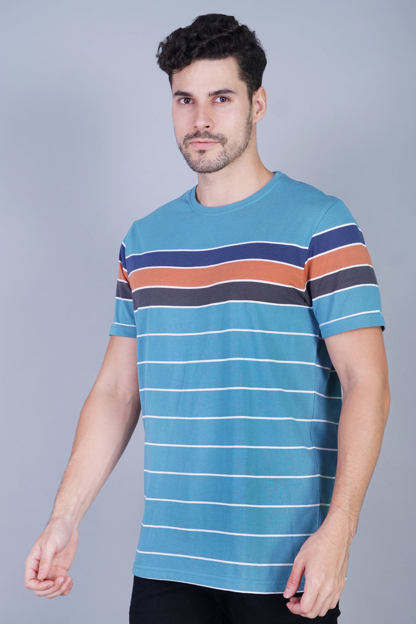 Arbour Men Striped Round Neck Cotton Blend Multicolor T-Shirt