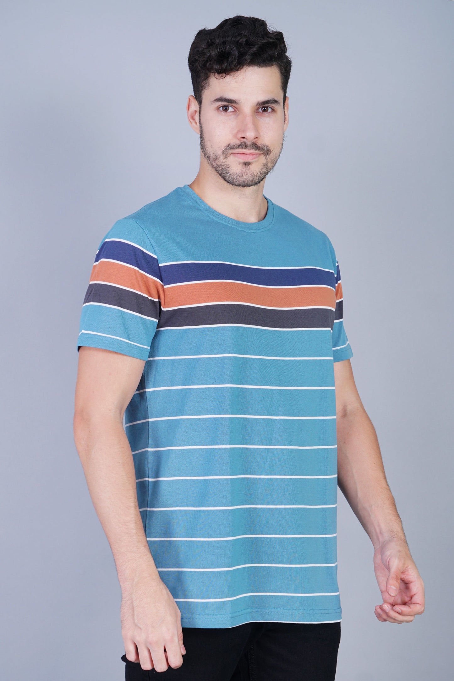 Arbour Men Striped Round Neck Cotton Blend Multicolor T-Shirt