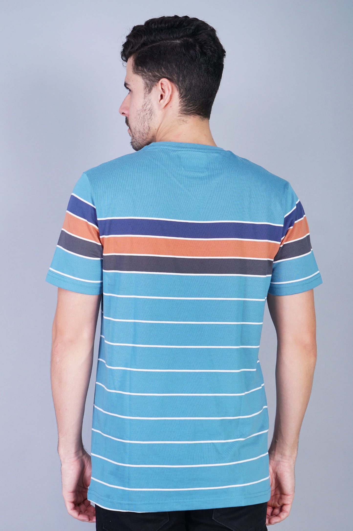 Arbour Men Striped Round Neck Cotton Blend Multicolor T-Shirt