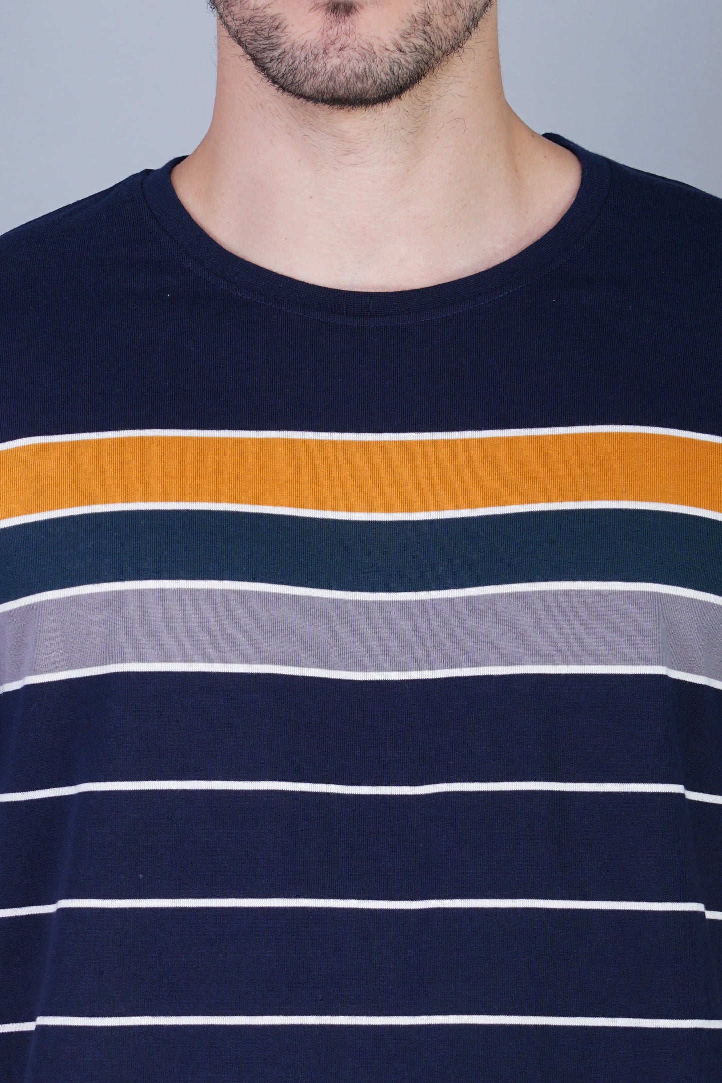 Arbour Men Striped Round Neck Cotton Blend Multicolor T-Shirt