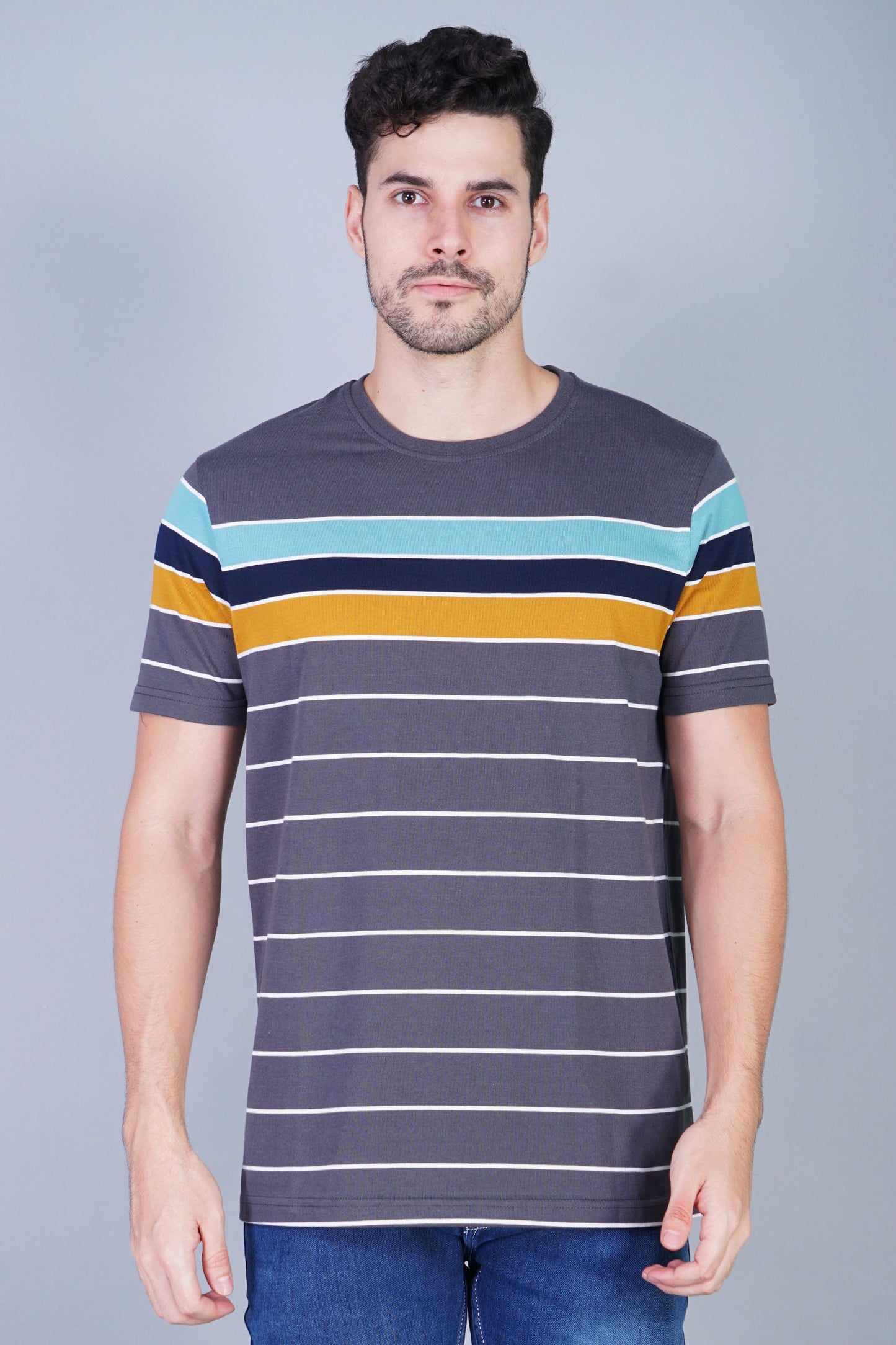 Arbour Men Striped Round Neck Cotton Blend Multicolor T-Shirt