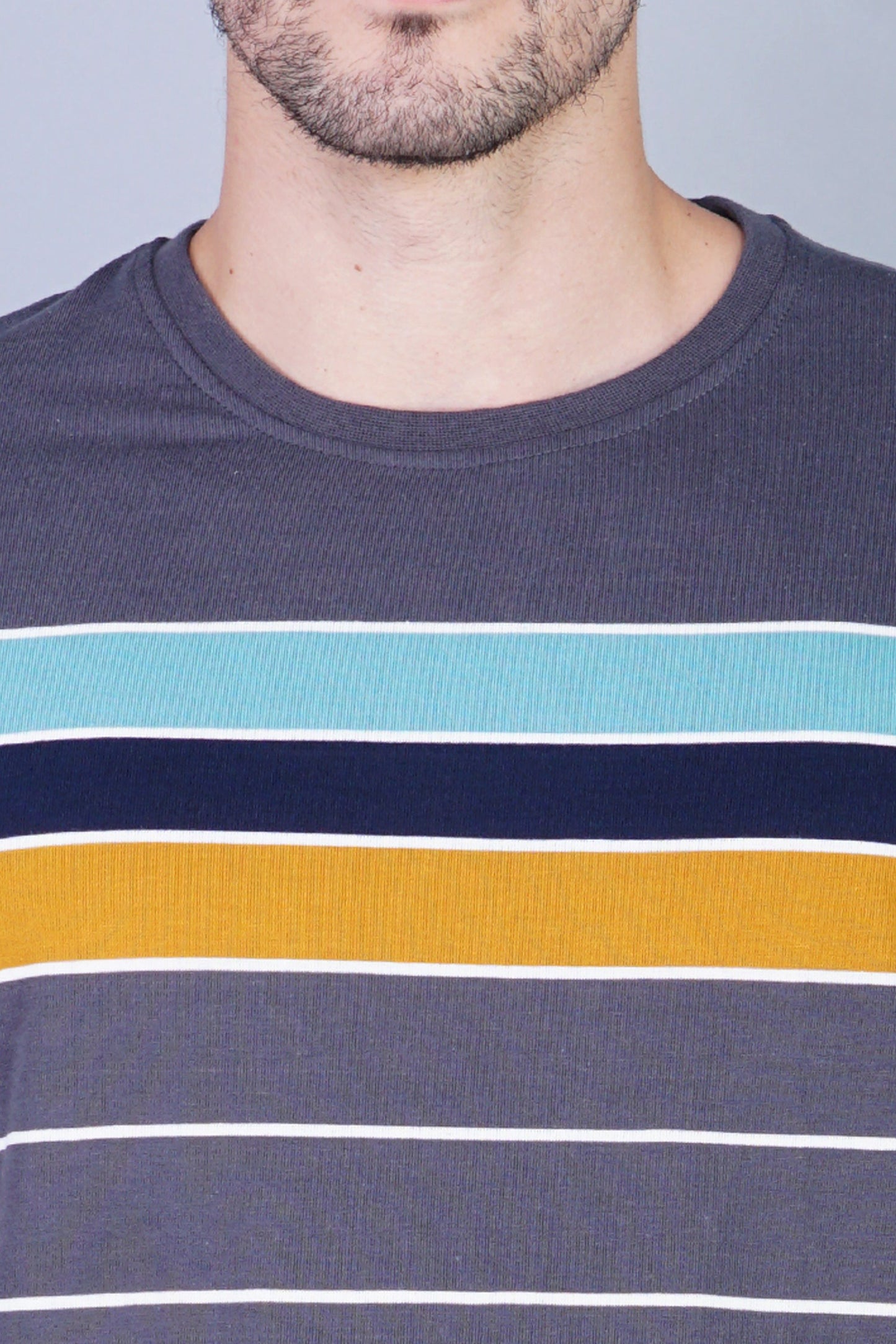 Arbour Men Striped Round Neck Cotton Blend Multicolor T-Shirt