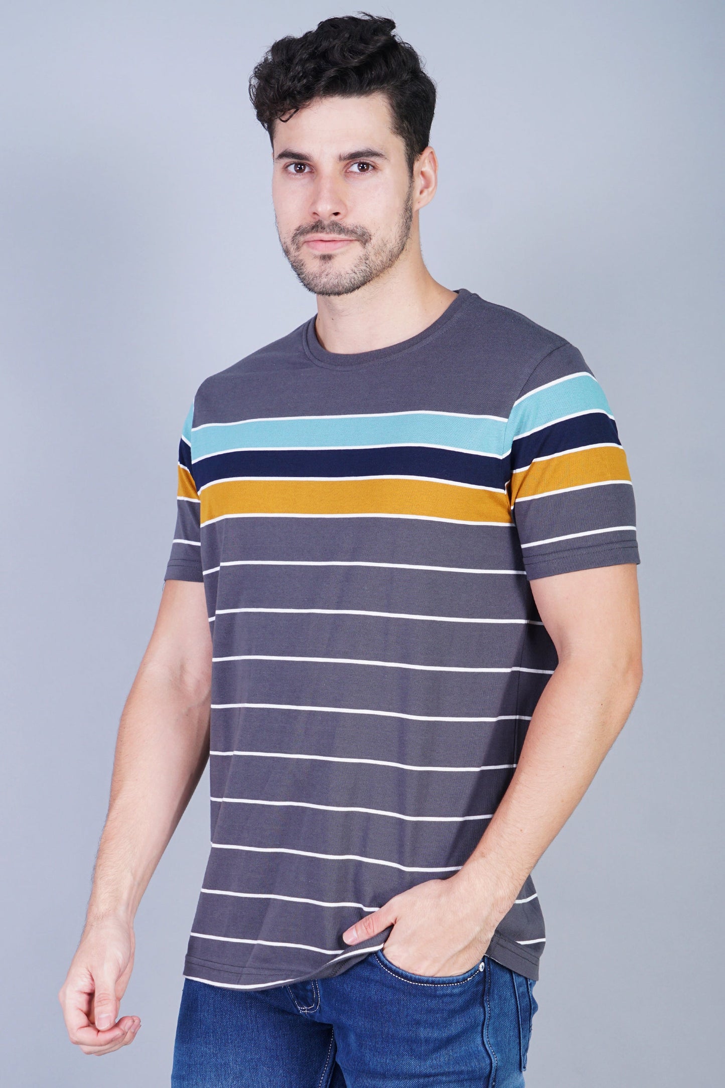 Arbour Men Striped Round Neck Cotton Blend Multicolor T-Shirt