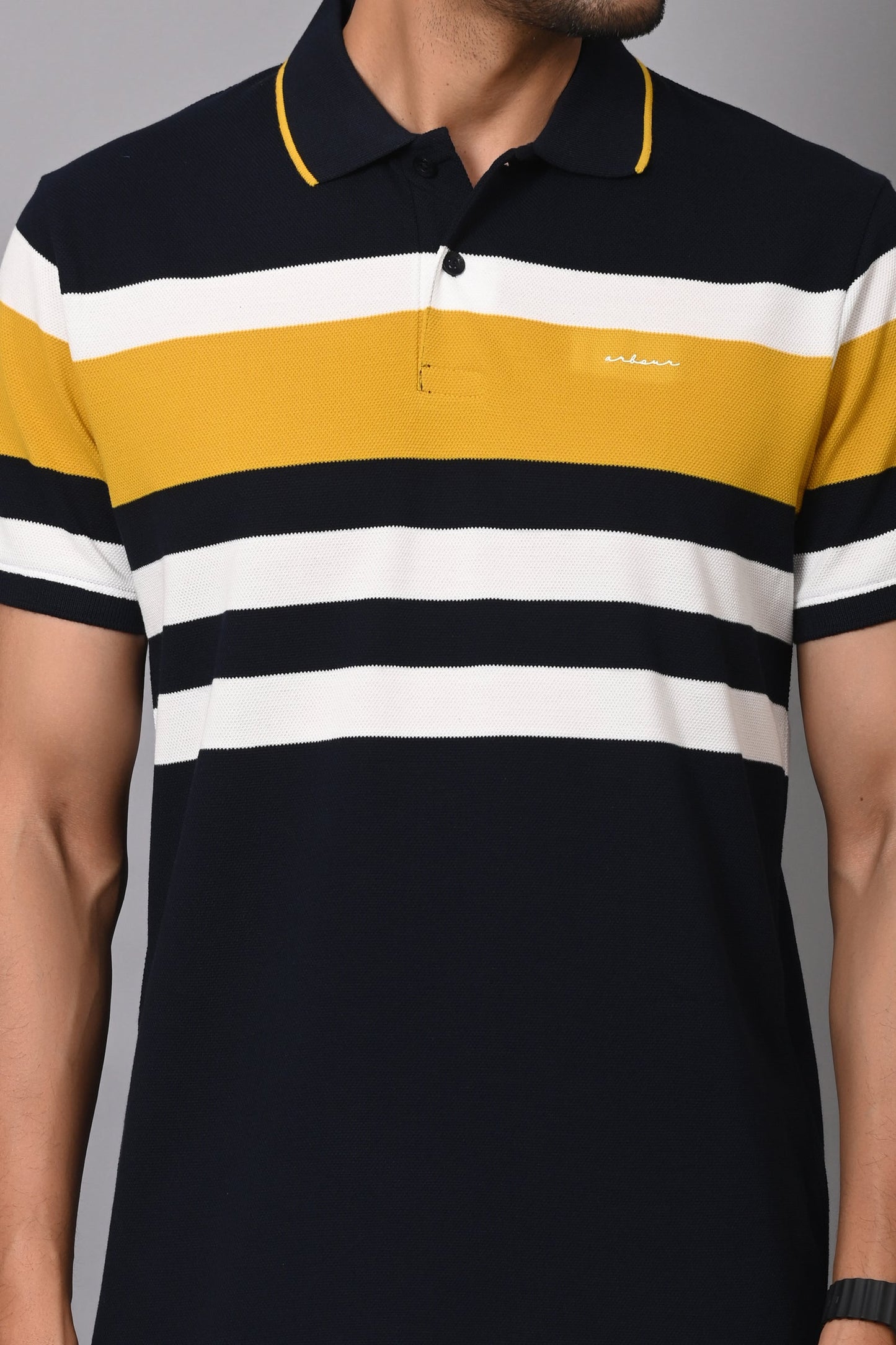 Arbour Men Polo Neck Stripes Casual Half Sleeves T-Shirt