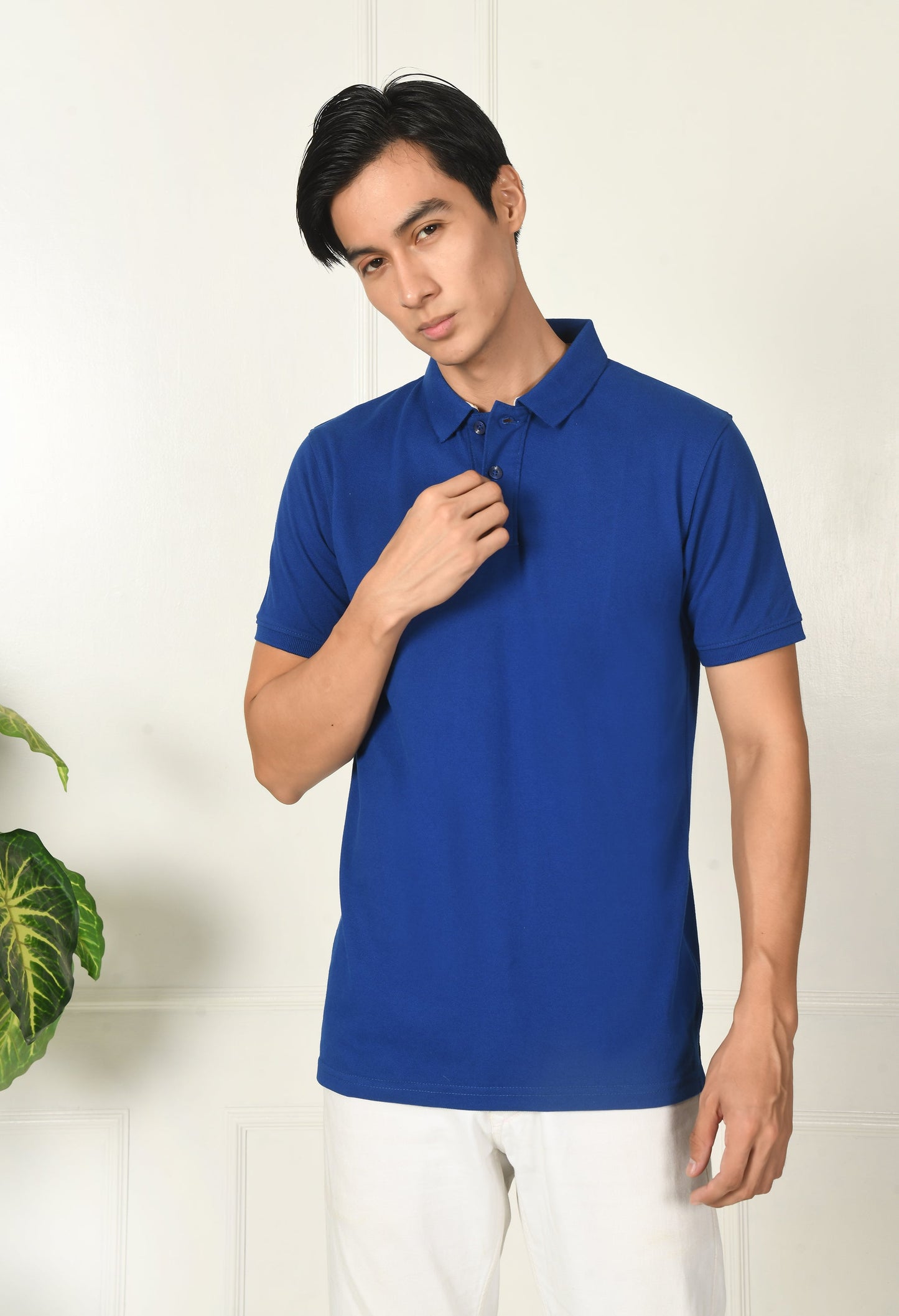 Arbour Men Polo Neck Plain Solid half Sleeves T-Shirt