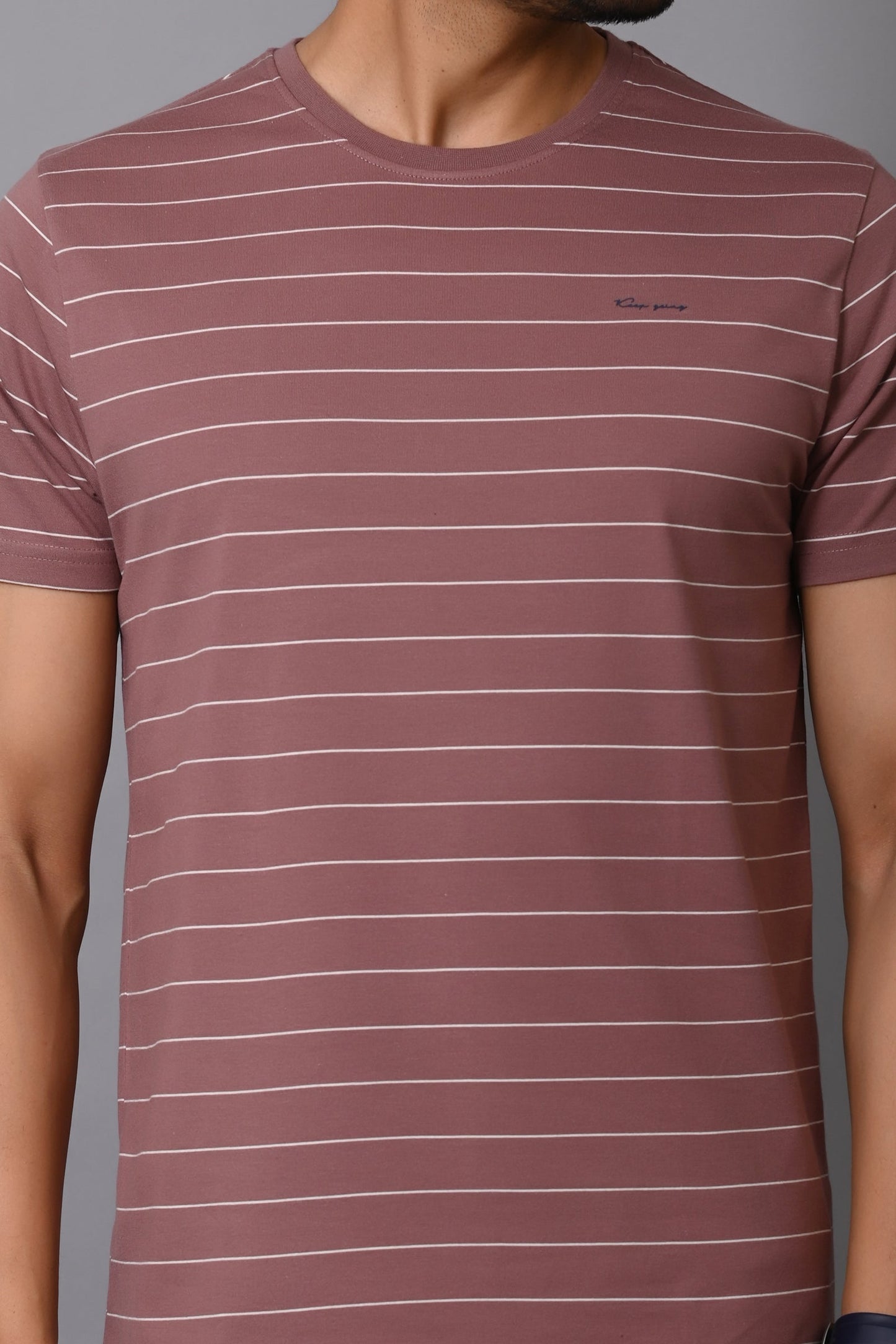 Arbour Men Round Neck Half Sleeves Stripes Slim Fit T-Shirt