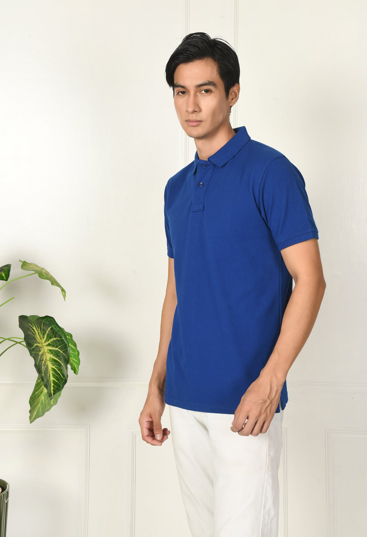 Arbour Men Polo Neck Plain Solid half Sleeves T-Shirt