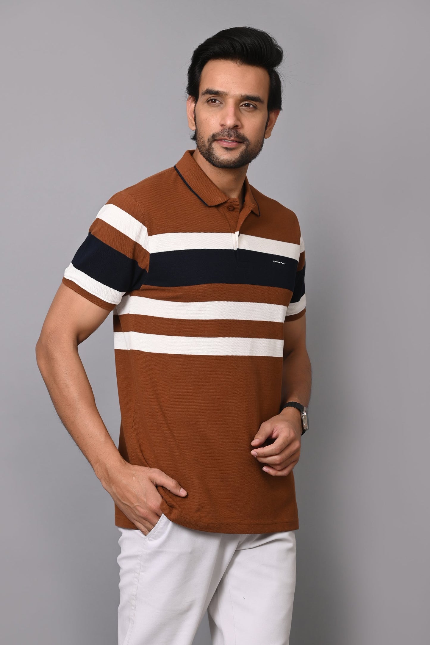 Arbour Men Polo Neck Stripes Casual Half Sleeves T-Shirt