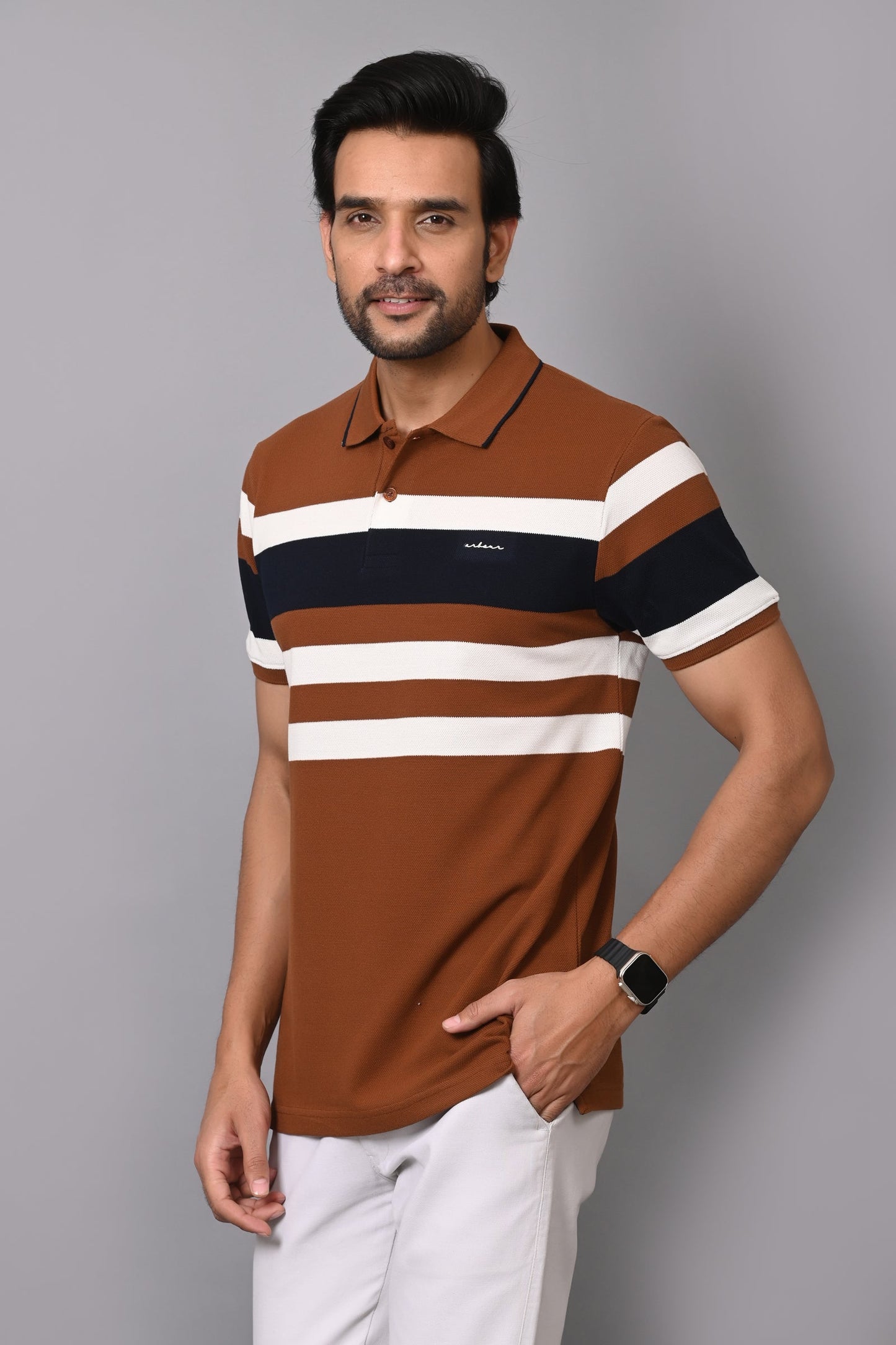 Arbour Men Polo Neck Stripes Casual Half Sleeves T-Shirt