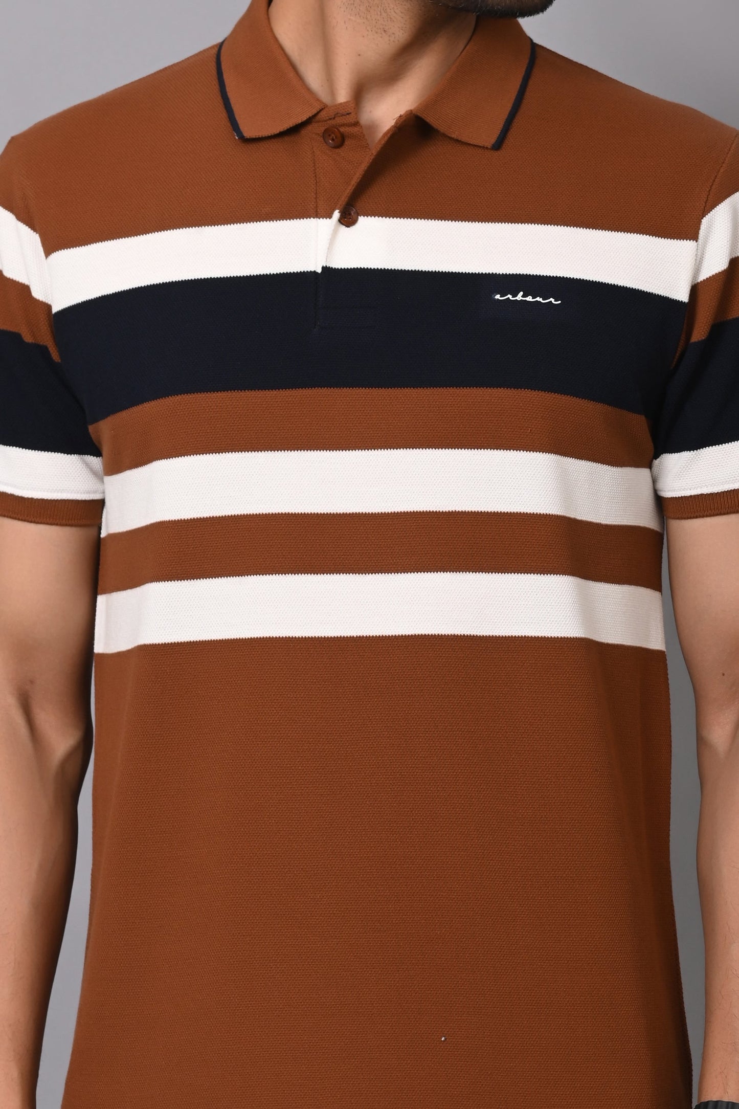 Arbour Men Polo Neck Stripes Casual Half Sleeves T-Shirt