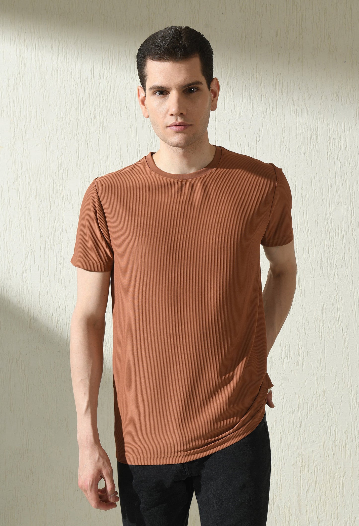 Arbour Men Round Neck Slim Fit Solid Half Sleeves T-Shirt