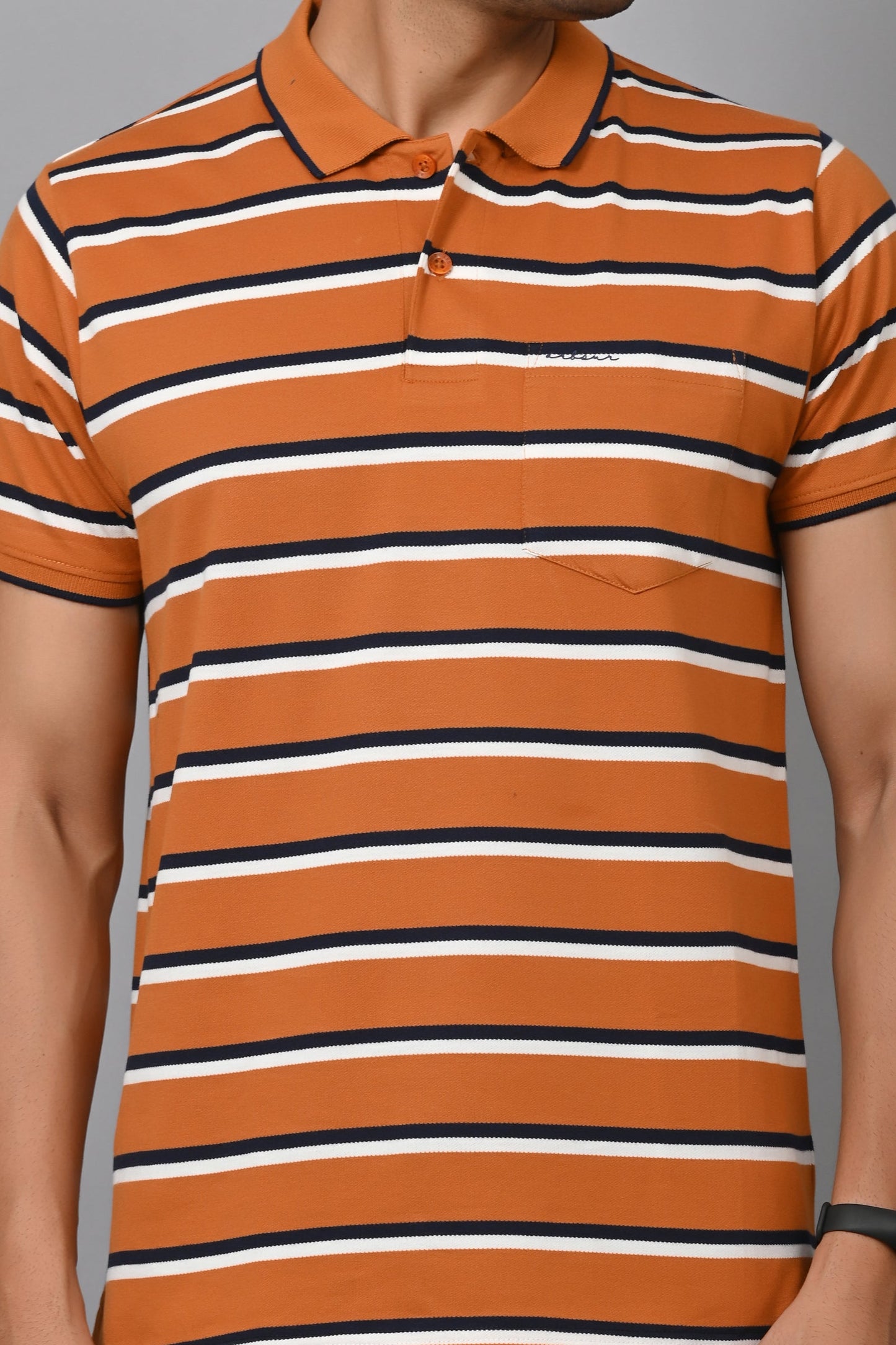 Arbour Men Stripes Polo Neck Cotton Blend Half Sleeve T-Shirt