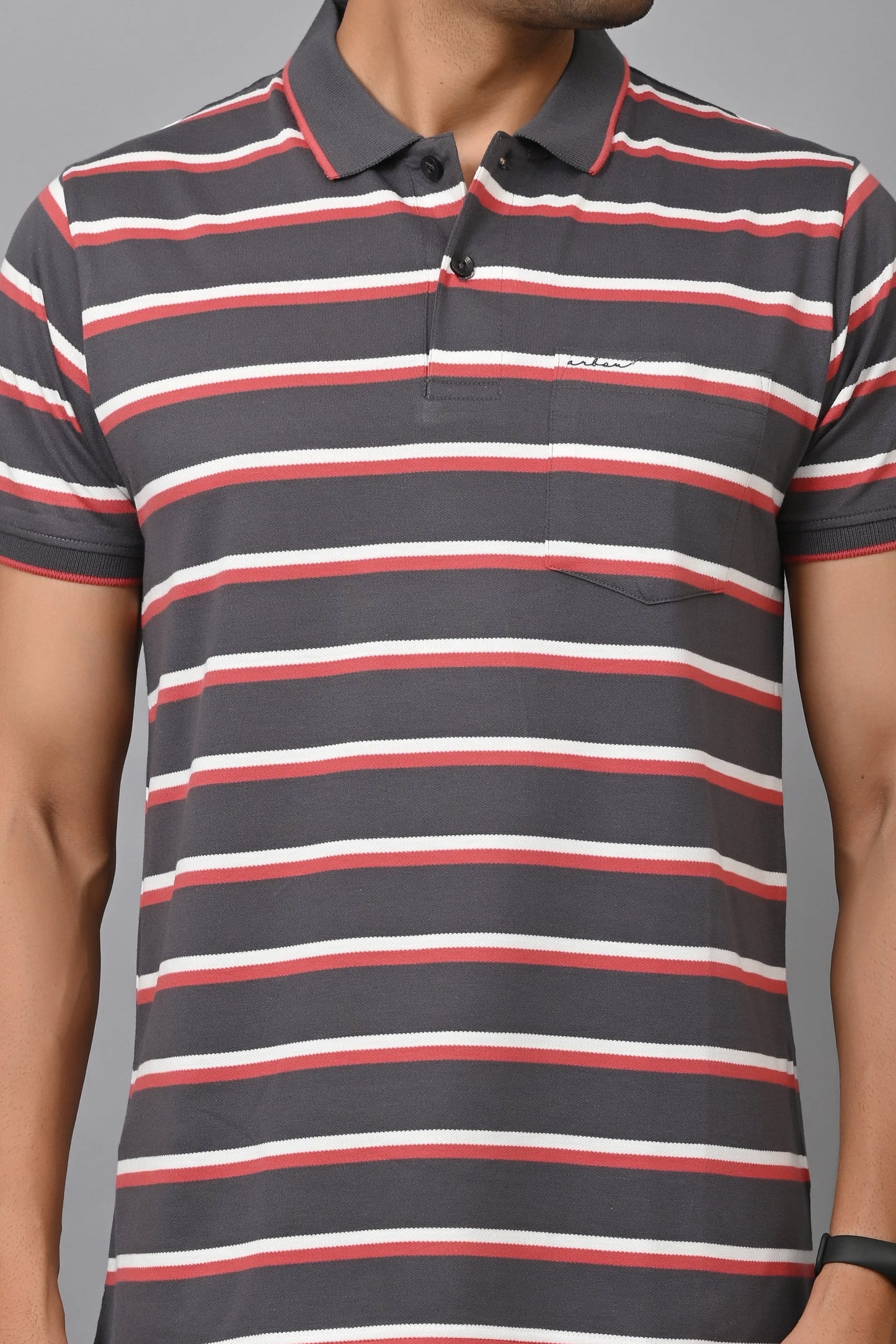 Arbour Men Stripes Polo Neck Cotton Blend Half Sleeve T-Shirt