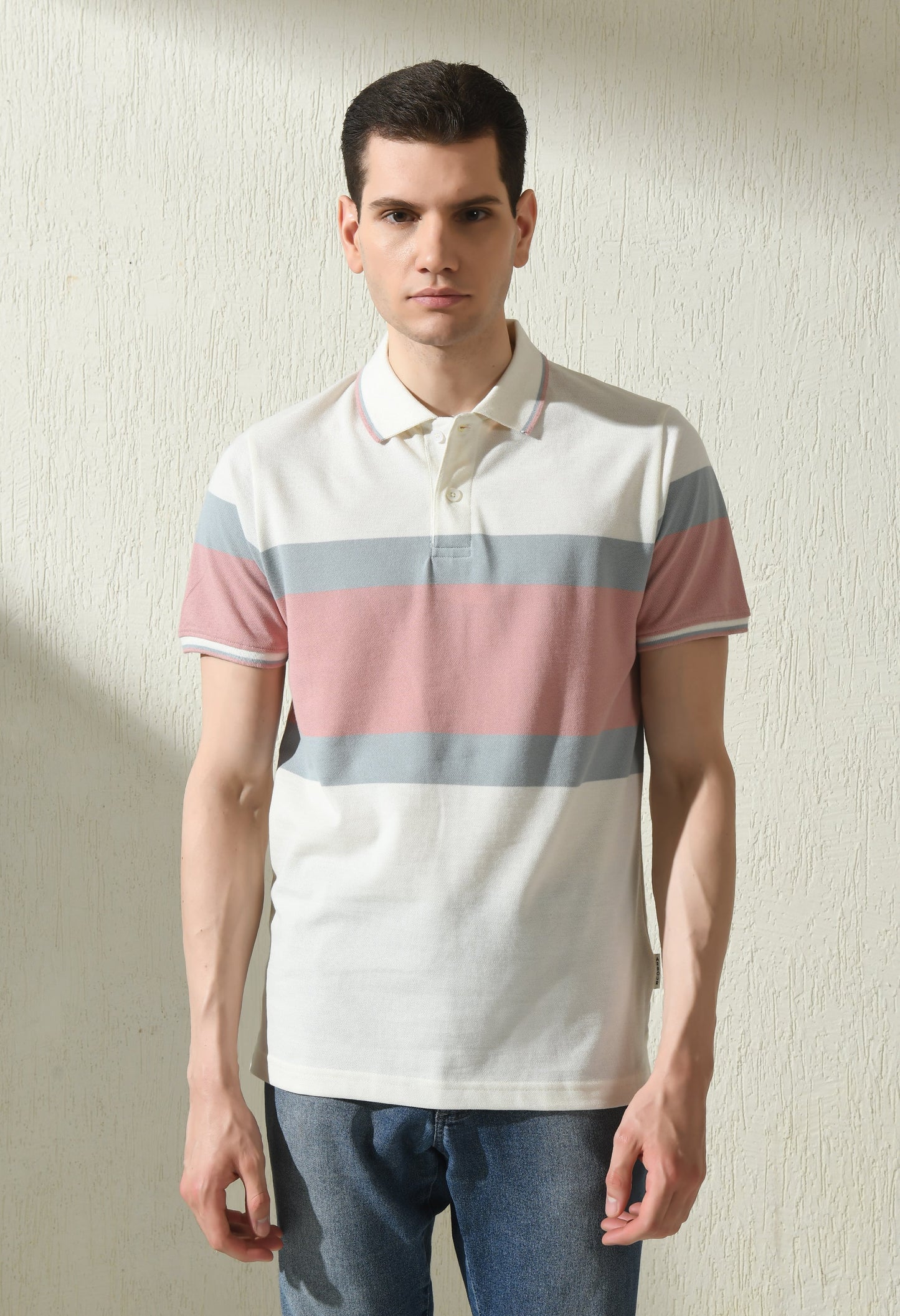 Arbour Men Polo Neck Stripes Slim Fit half Sleeves T-Shirt