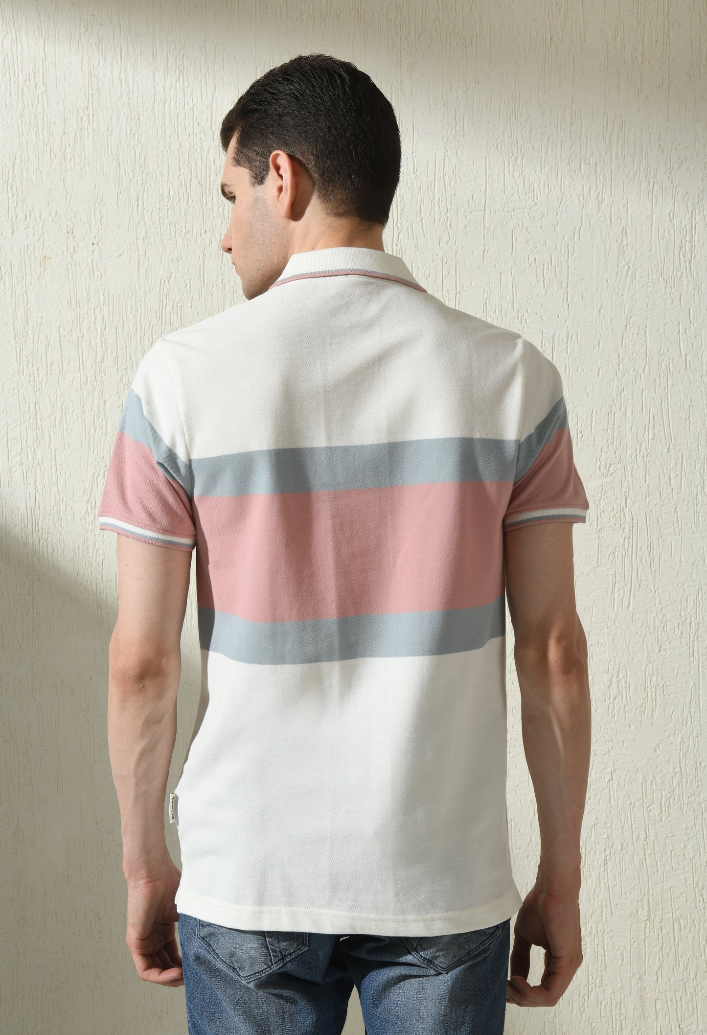 Arbour Men Polo Neck Stripes Slim Fit half Sleeves T-Shirt