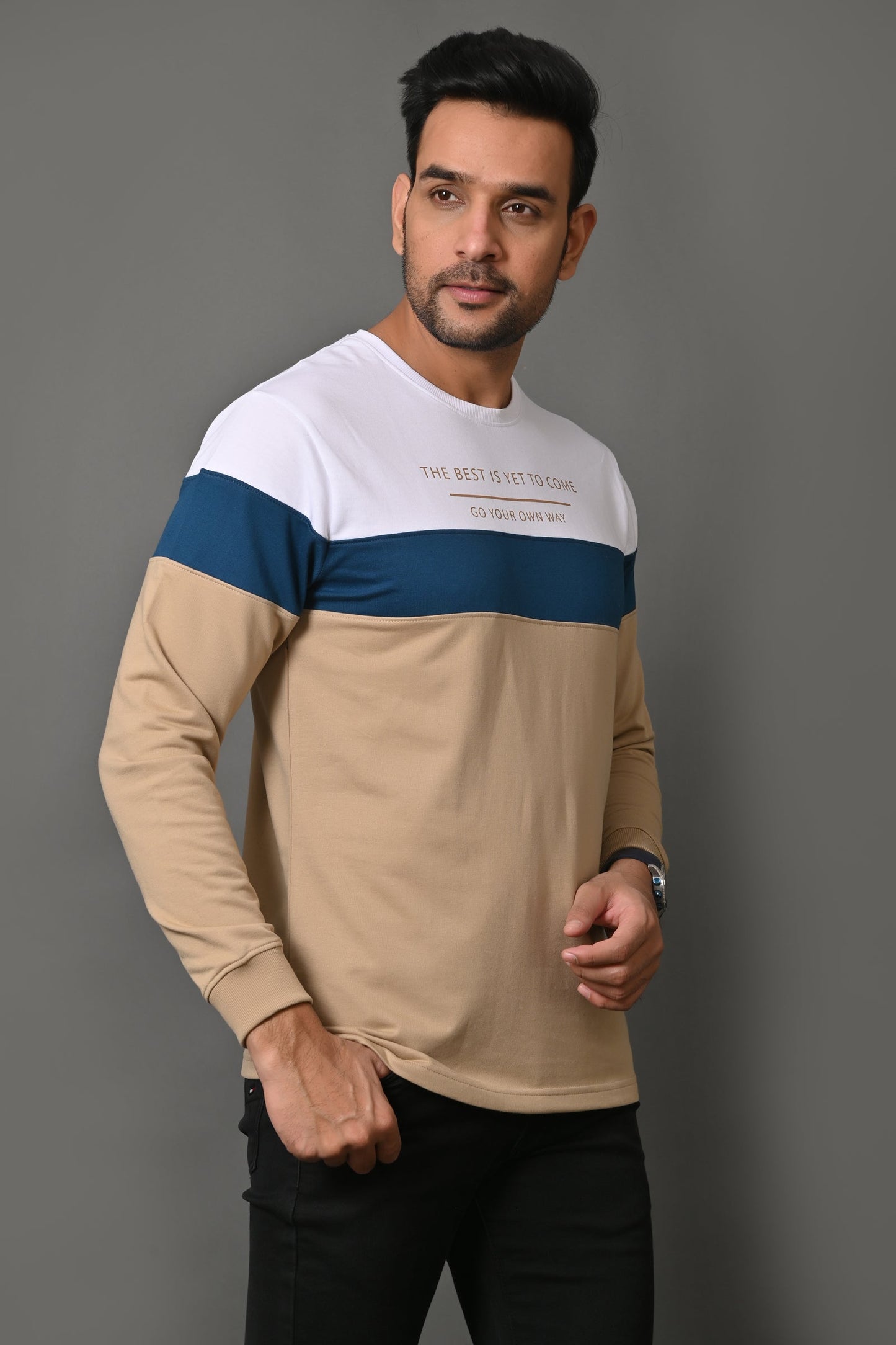 Arbour Men Round Neck Stripes Full Sleeves T-Shirt