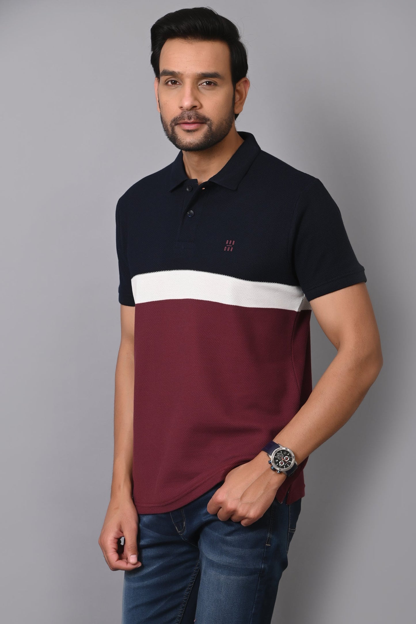 Arbour Men Polo Neck Cotton Color Block Casual Half Sleeves T-Shirt