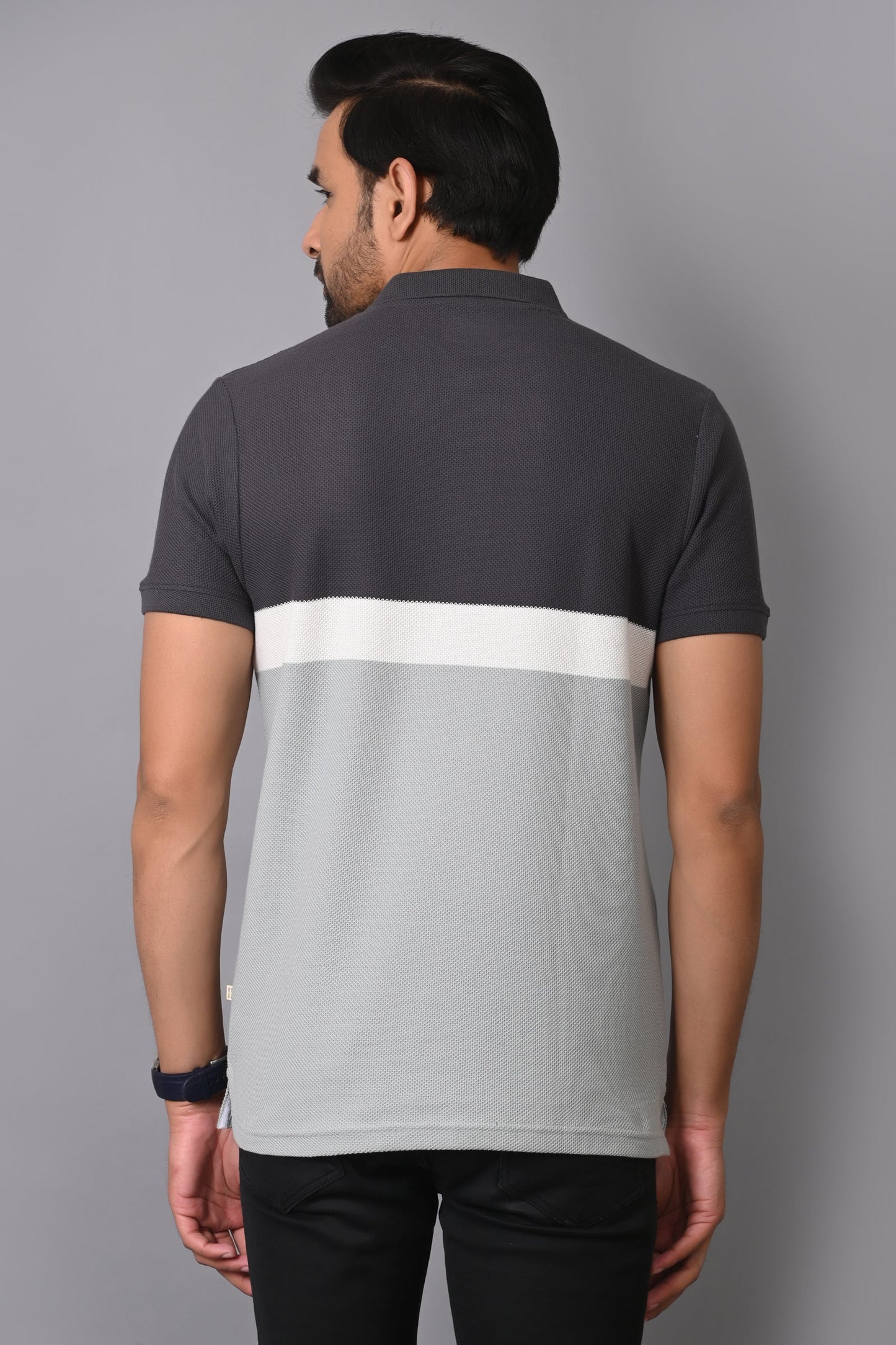 Arbour Men Polo Neck Cotton Color Block Casual Half Sleeves T-Shirt