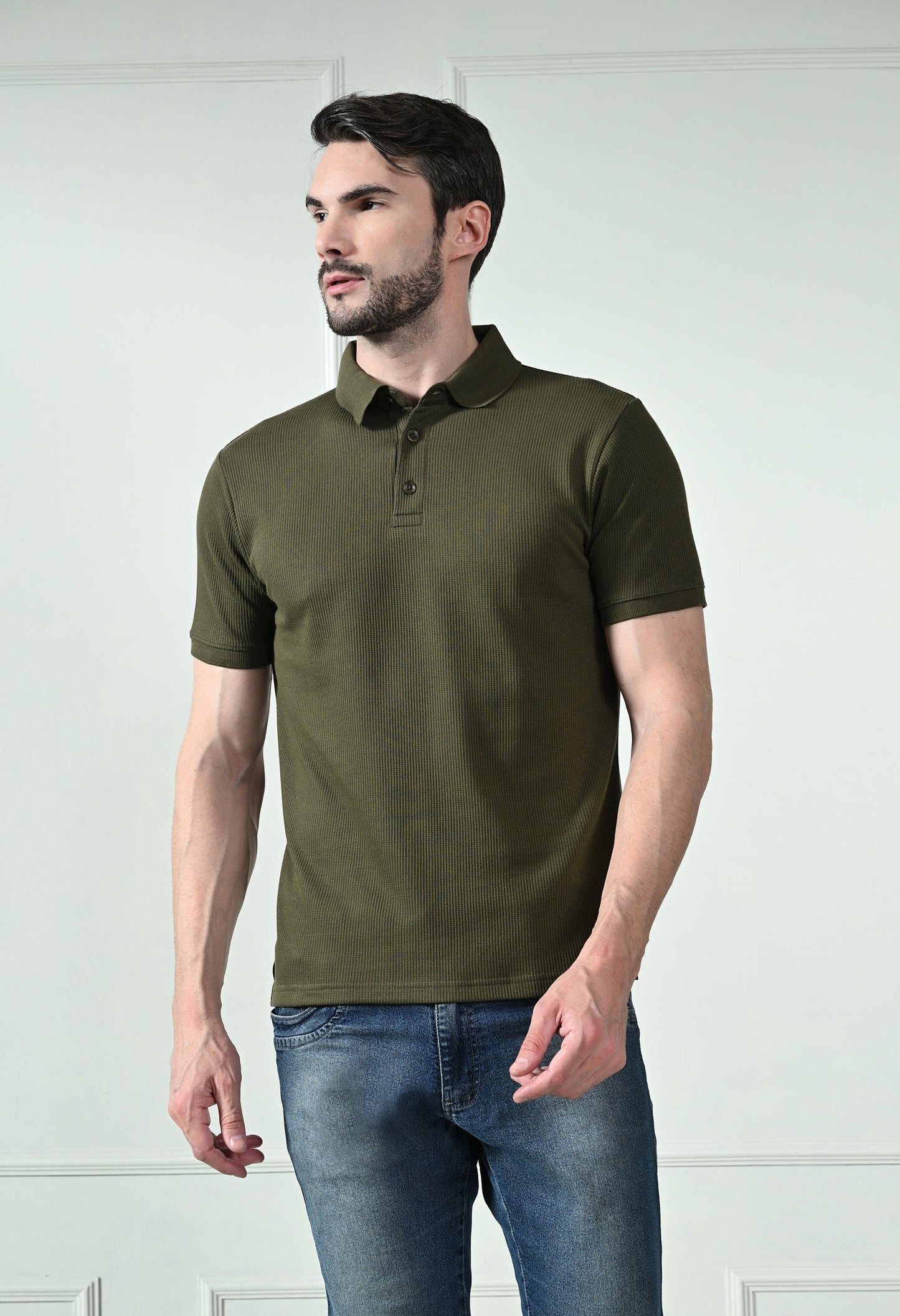 Arbour Men Polo Neck Solid Plain Half Sleeves T-Shirt