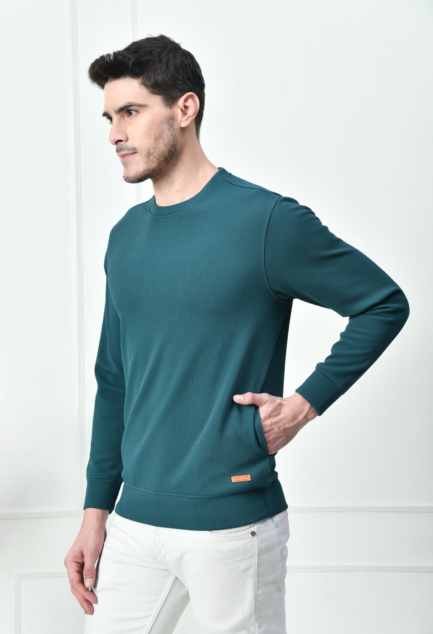 Arbour Men Solid Slim Fit Full Sleeves Sweatshirts