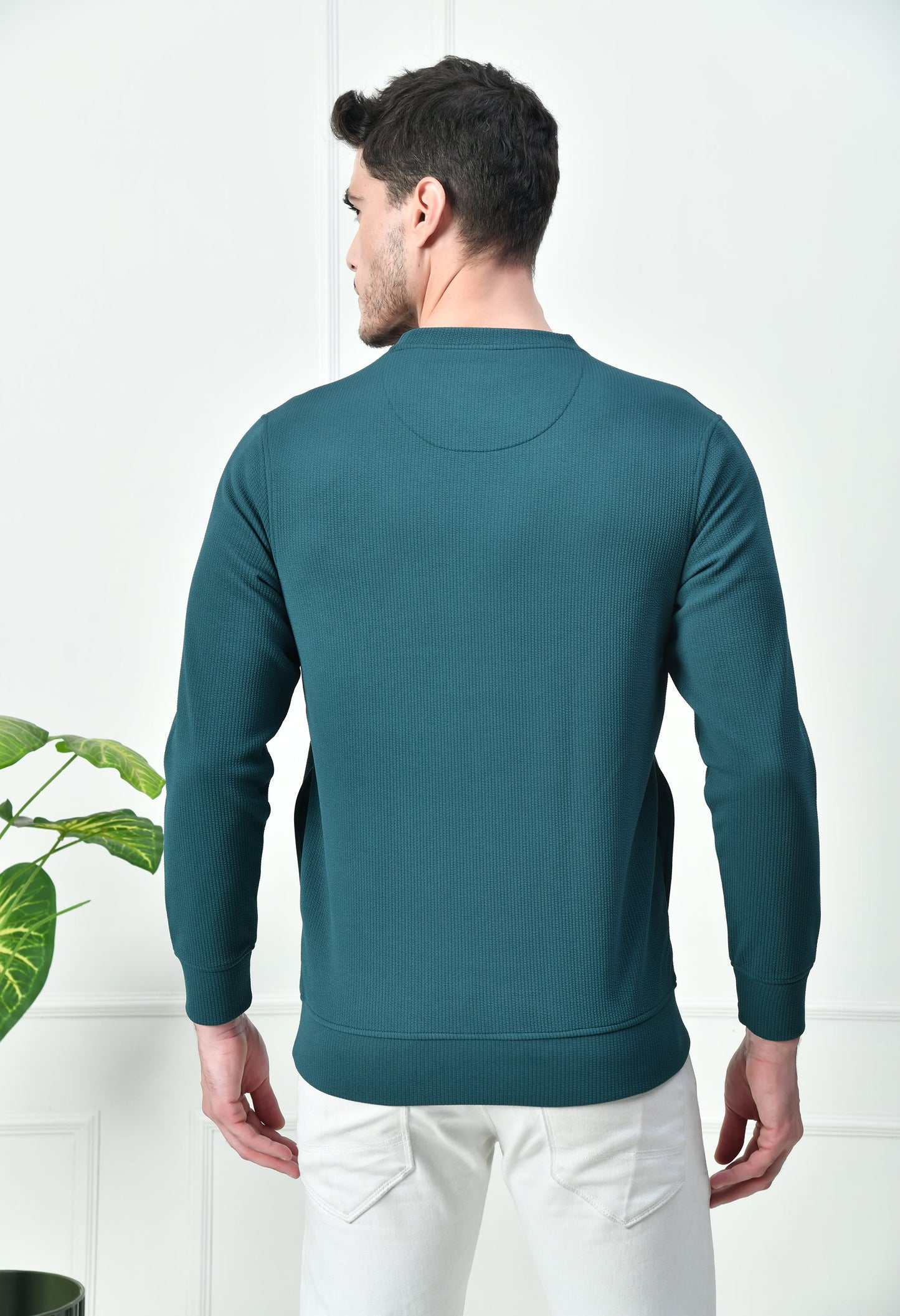 Arbour Men Solid Slim Fit Full Sleeves Sweatshirts