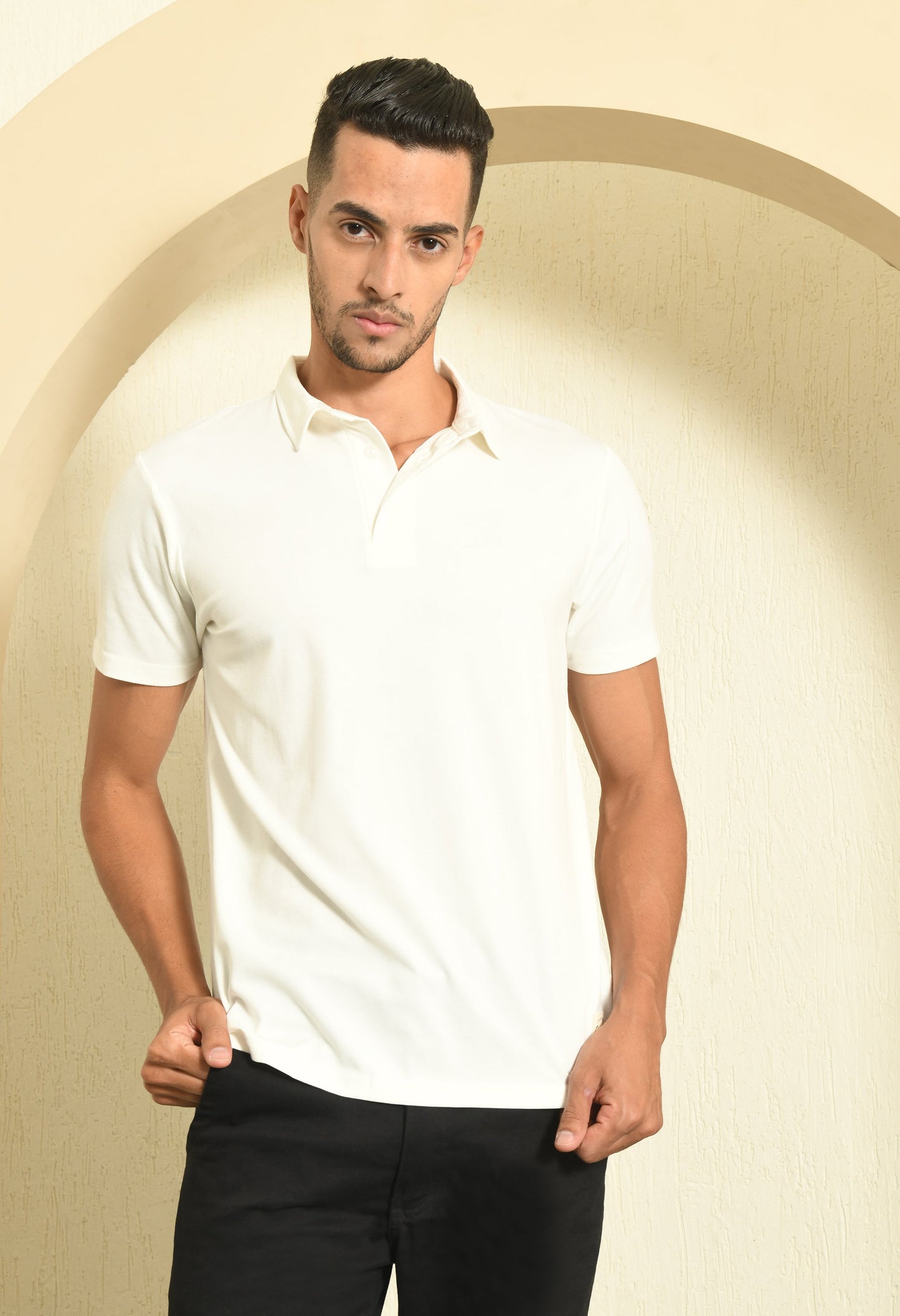 Arbour Men Polo Neck Solid Half Sleeves T-Shirt