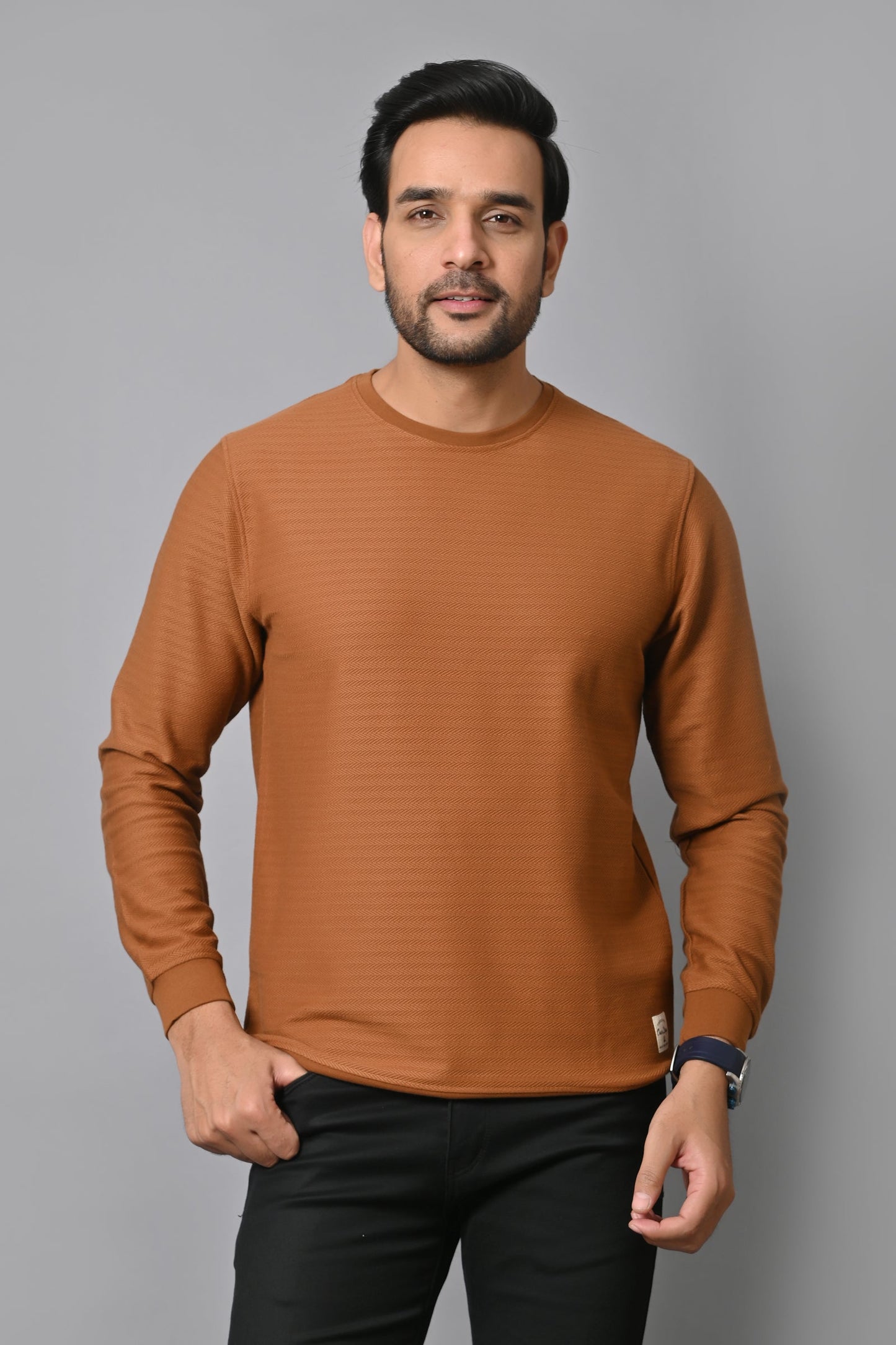 Arbour Men Round Neck solid Full Sleeves T-Shirt