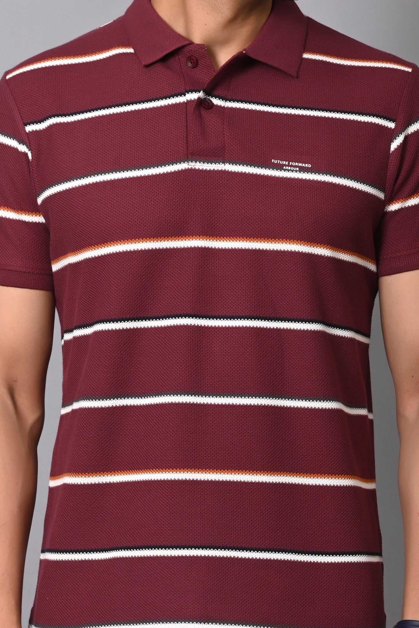 Arbour Men Polo Neck Cotton Stripes Casual Half Sleeves T-Shirt