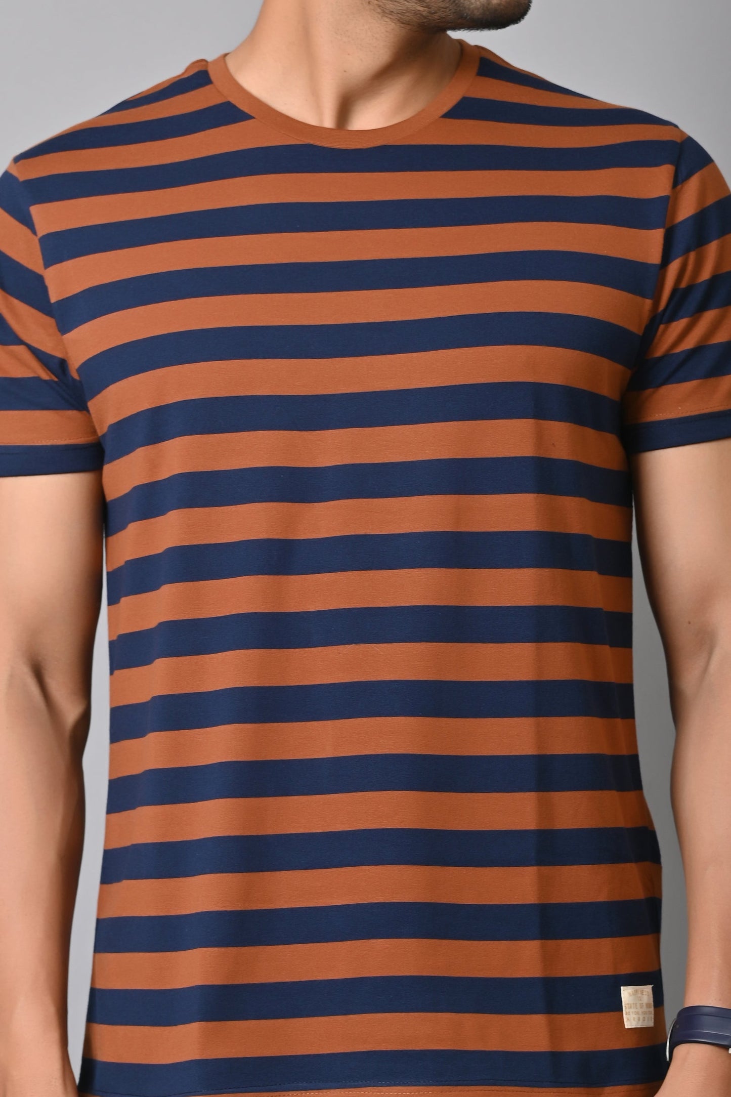 Arbour Men Round Neck Stripes Half Sleeves T-Shirt